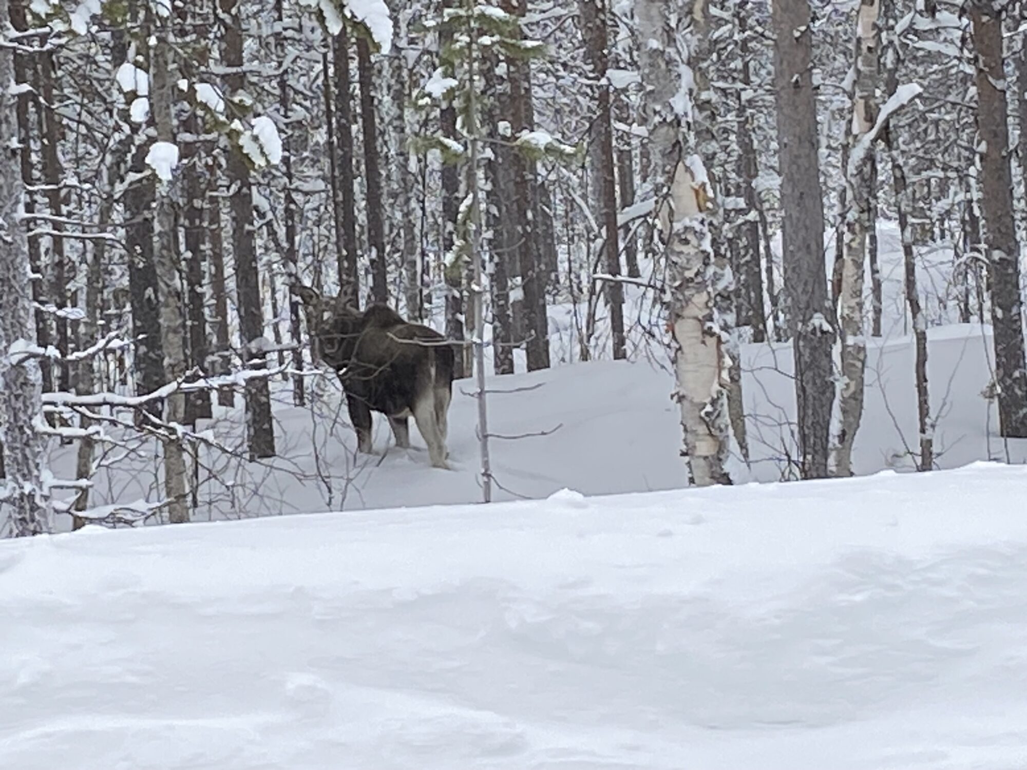Valokuvaaja: Maija Sieppi