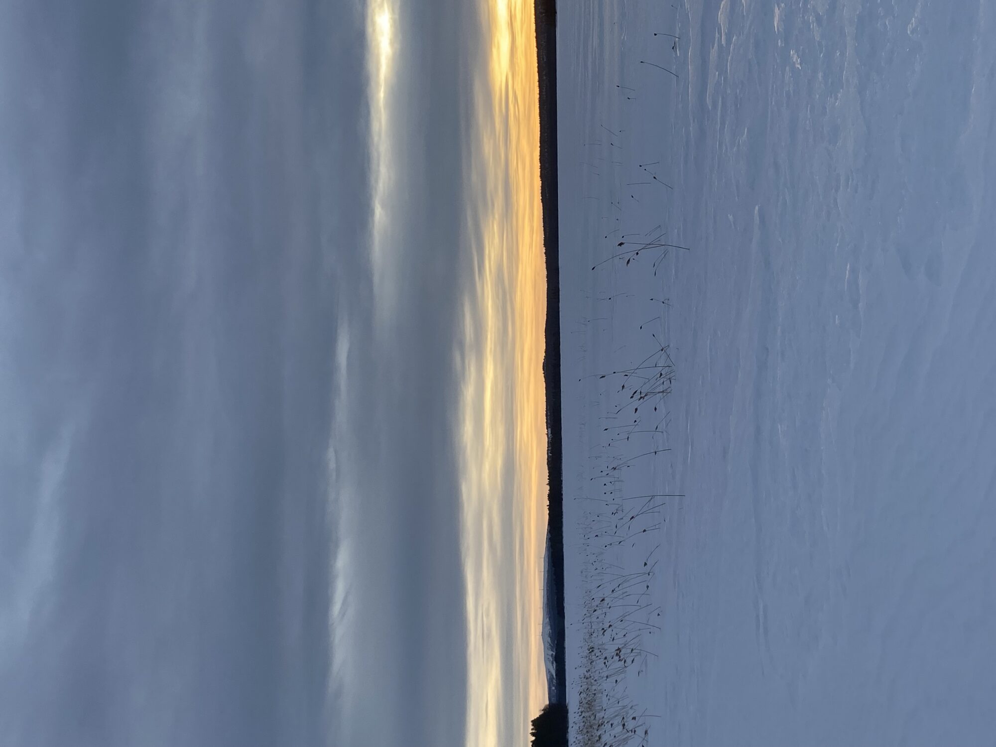 Valokuvaaja: Maija Sieppi