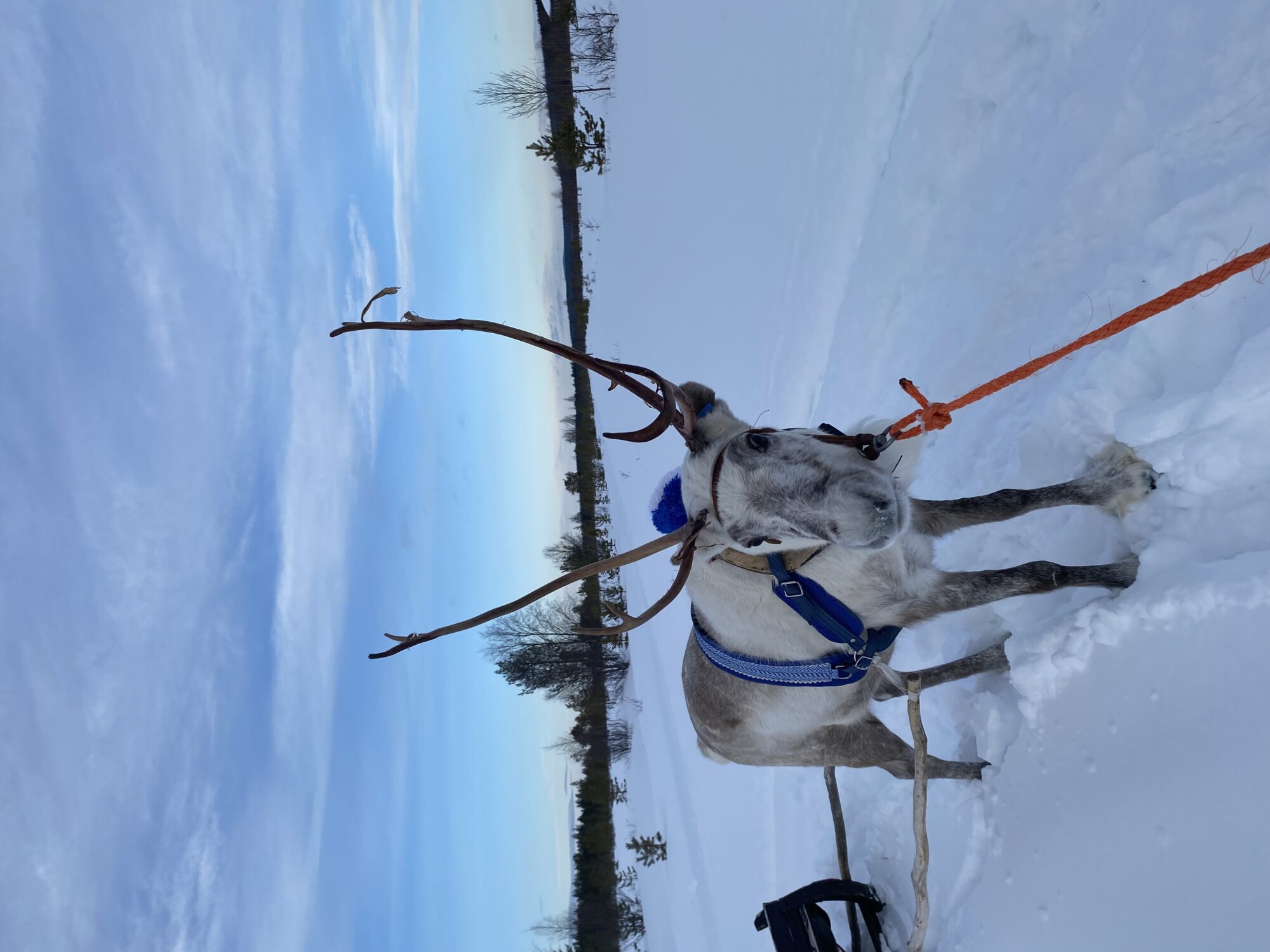 Valokuvaaja: Maija Sieppi Valokuvaaja: Maija Sieppi