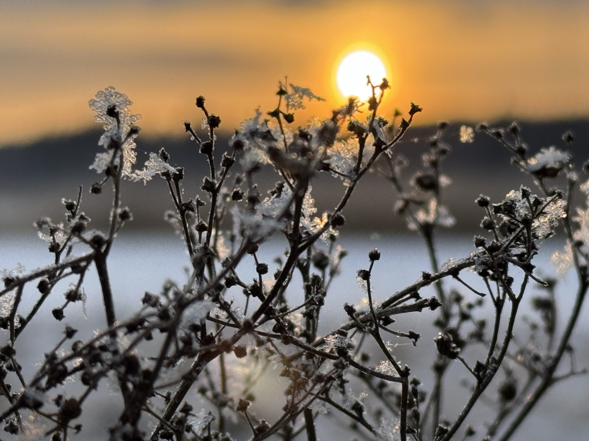 Valokuvaaja: Juhani Peltonen