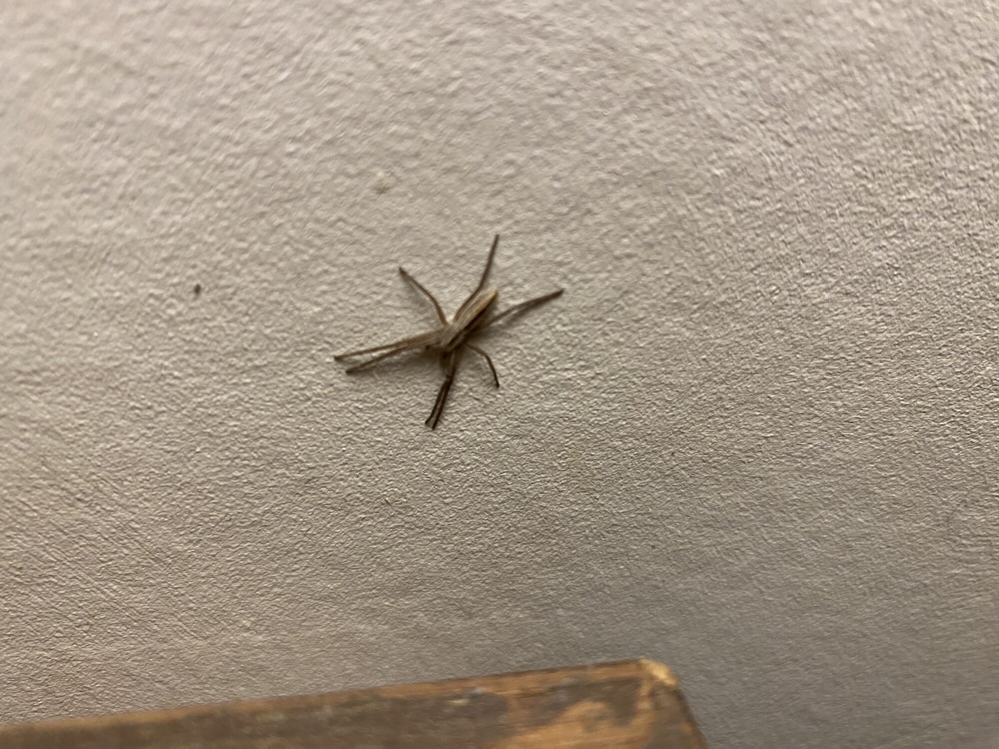 Valokuvaaja: Mauri Leppänen Valokuvaaja: Mauri Leppänen