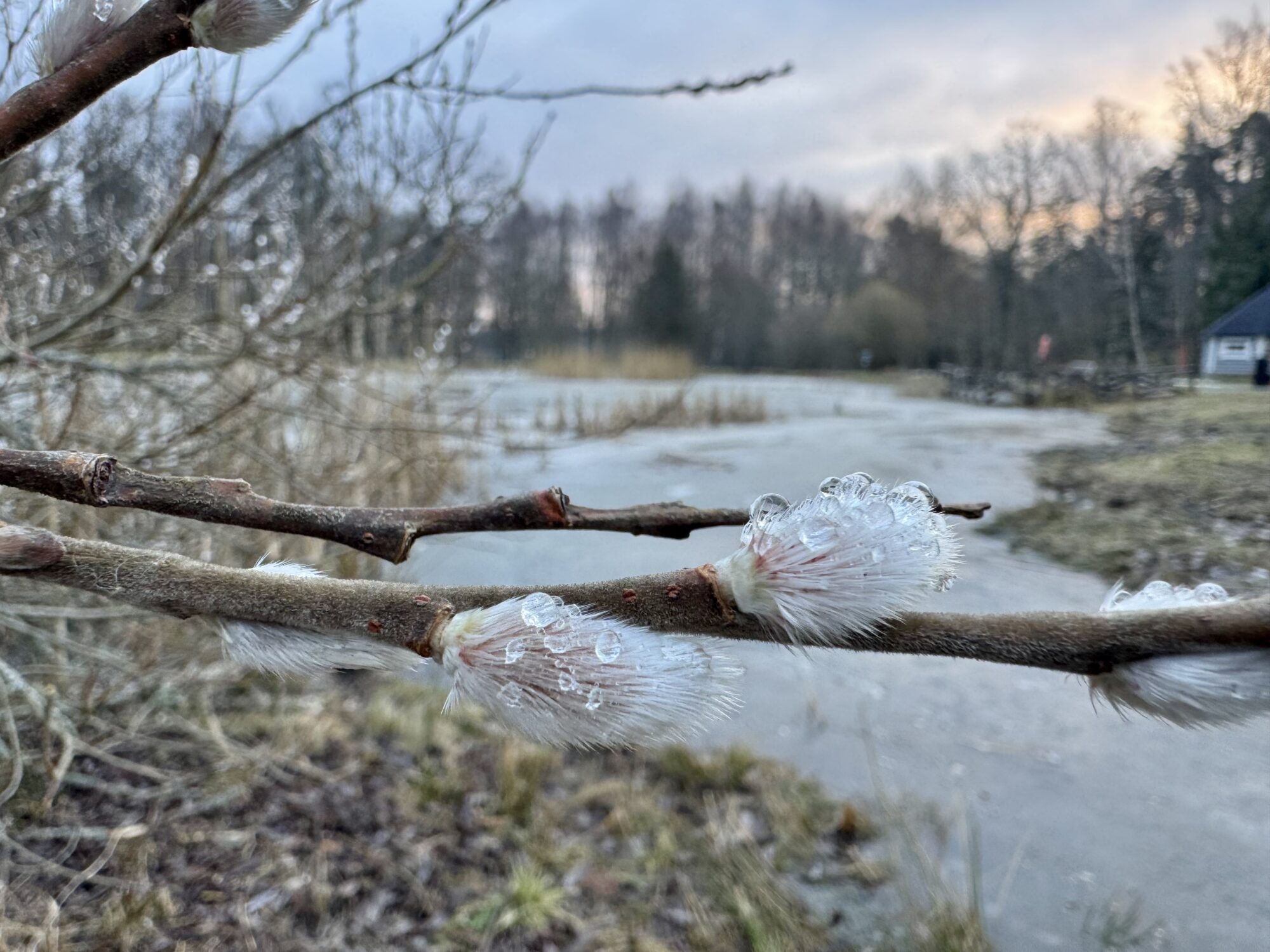 Valokuvaaja: Juhani Peltonen