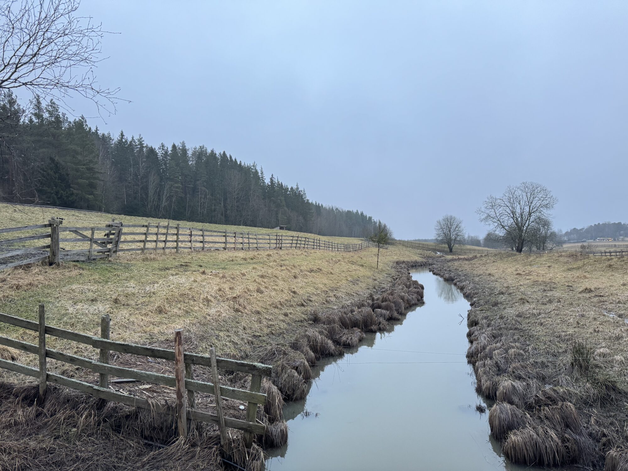 Valokuvaaja: Juhani Peltonen