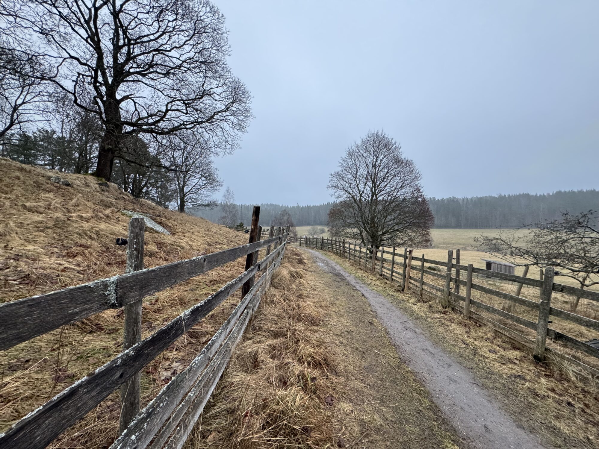 Valokuvaaja: Juhani Peltonen