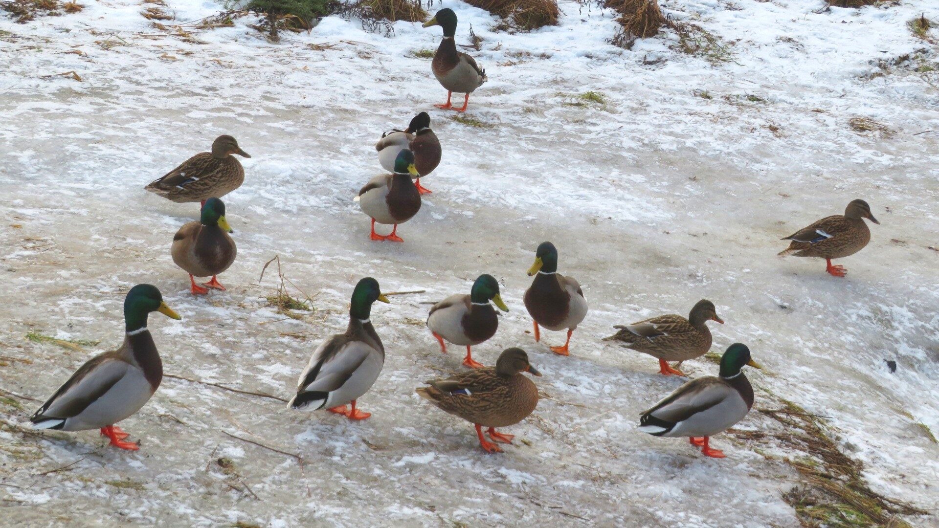 Valokuvaaja: Risto Kangassalo