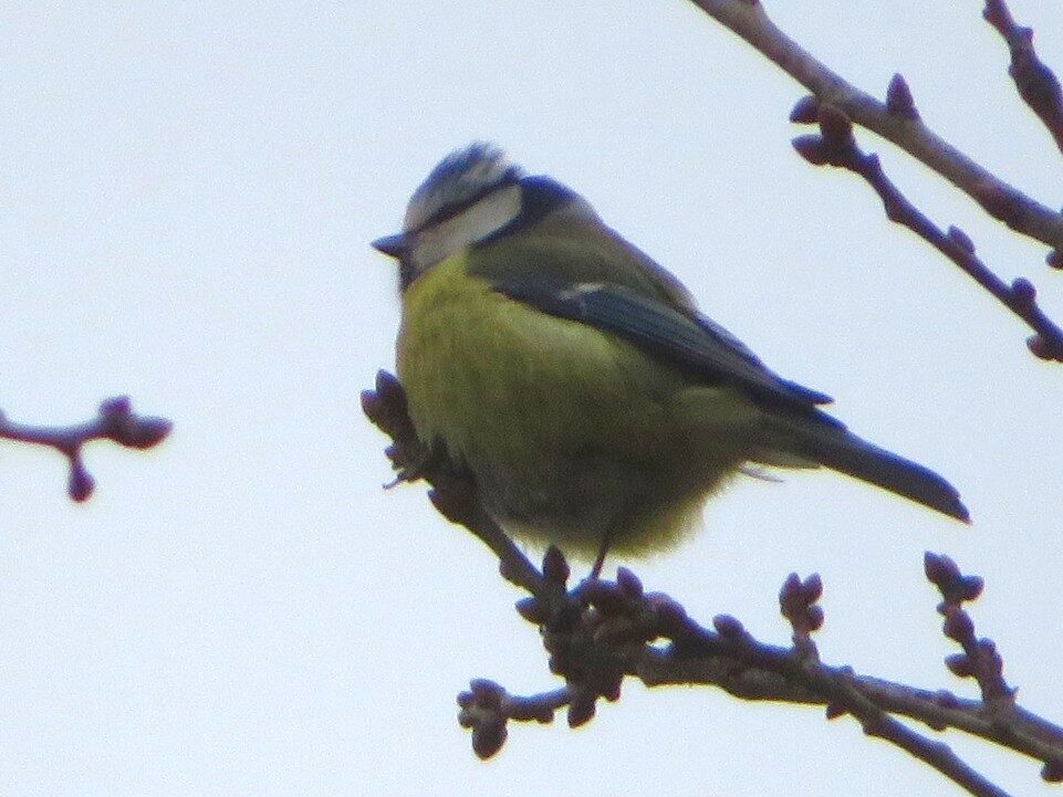 Valokuvaaja: Risto Kangassalo