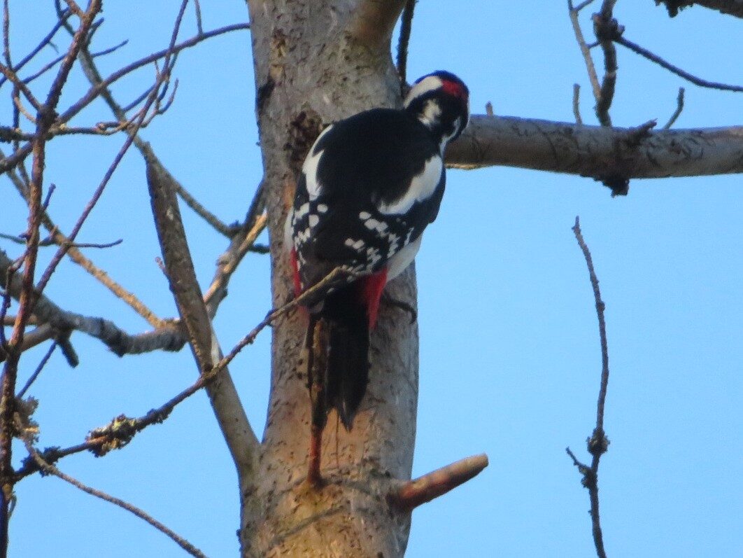 Valokuvaaja: Risto Kangassalo