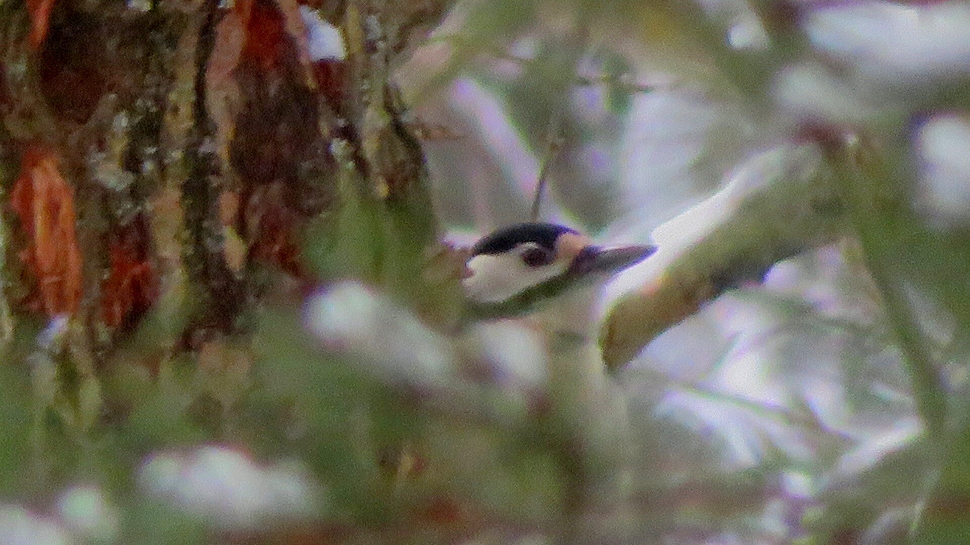 Valokuvaaja: Risto Kangassalo Valokuvaaja: Risto Kangassalo