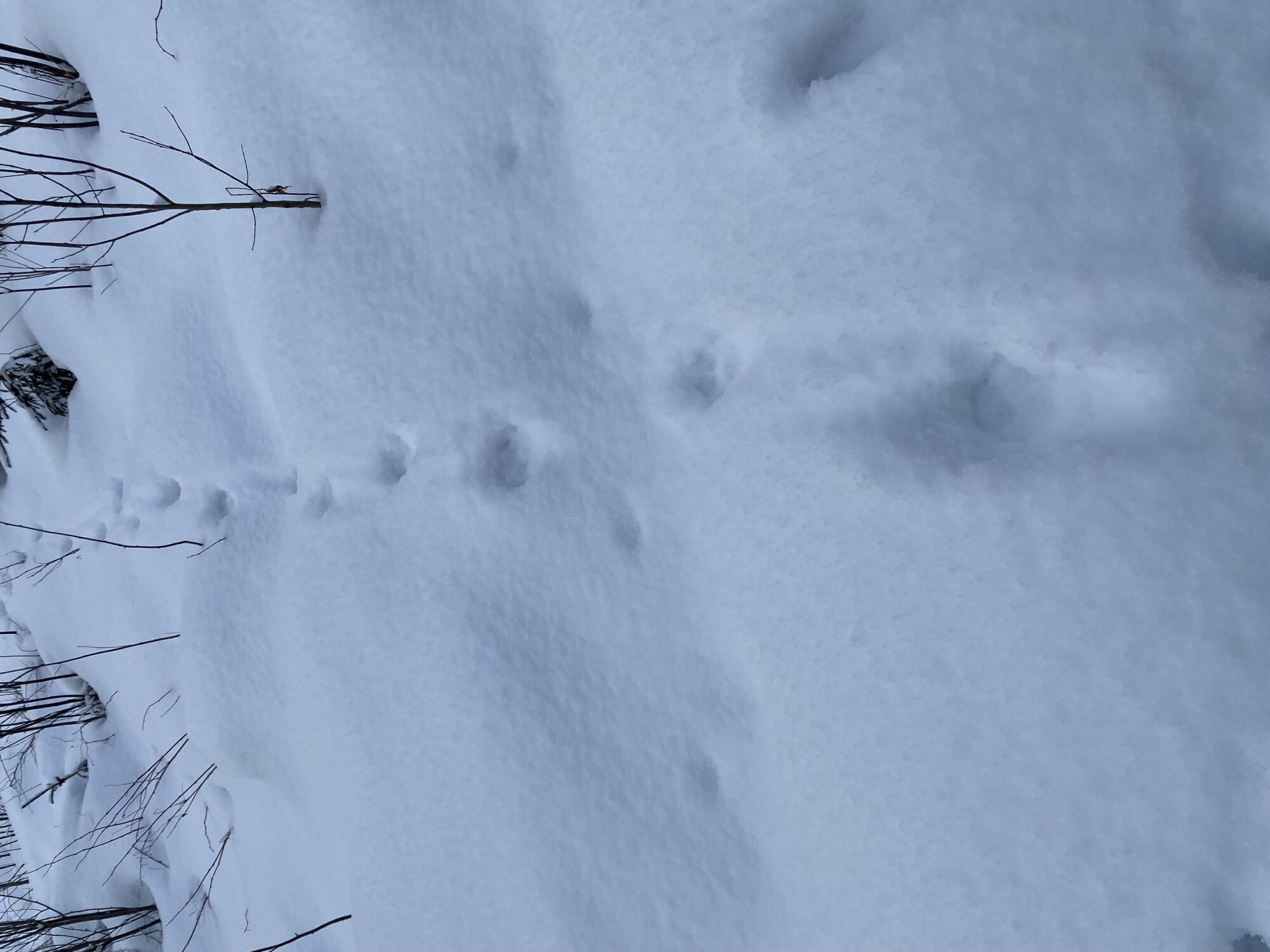 Valokuvaaja: Nina Lindroth