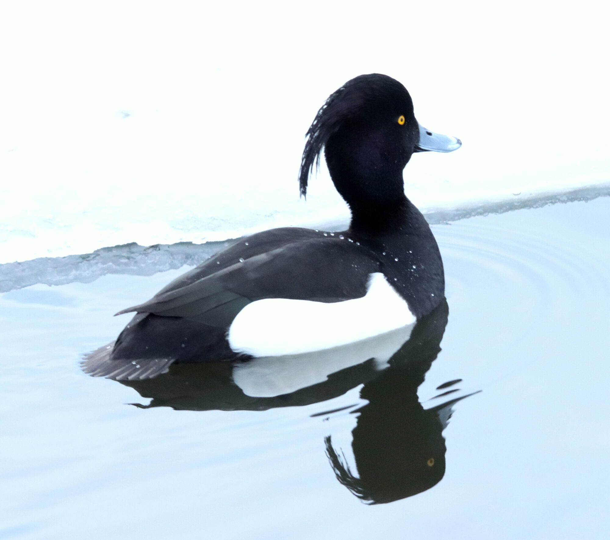 Valokuvaaja: Irja Lehtinen