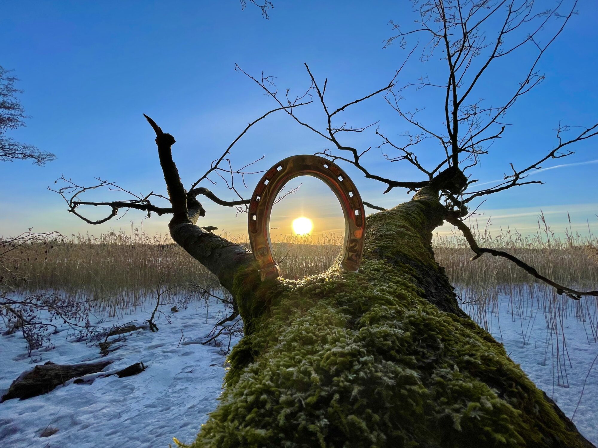 Valokuvaaja: Juhani Peltonen