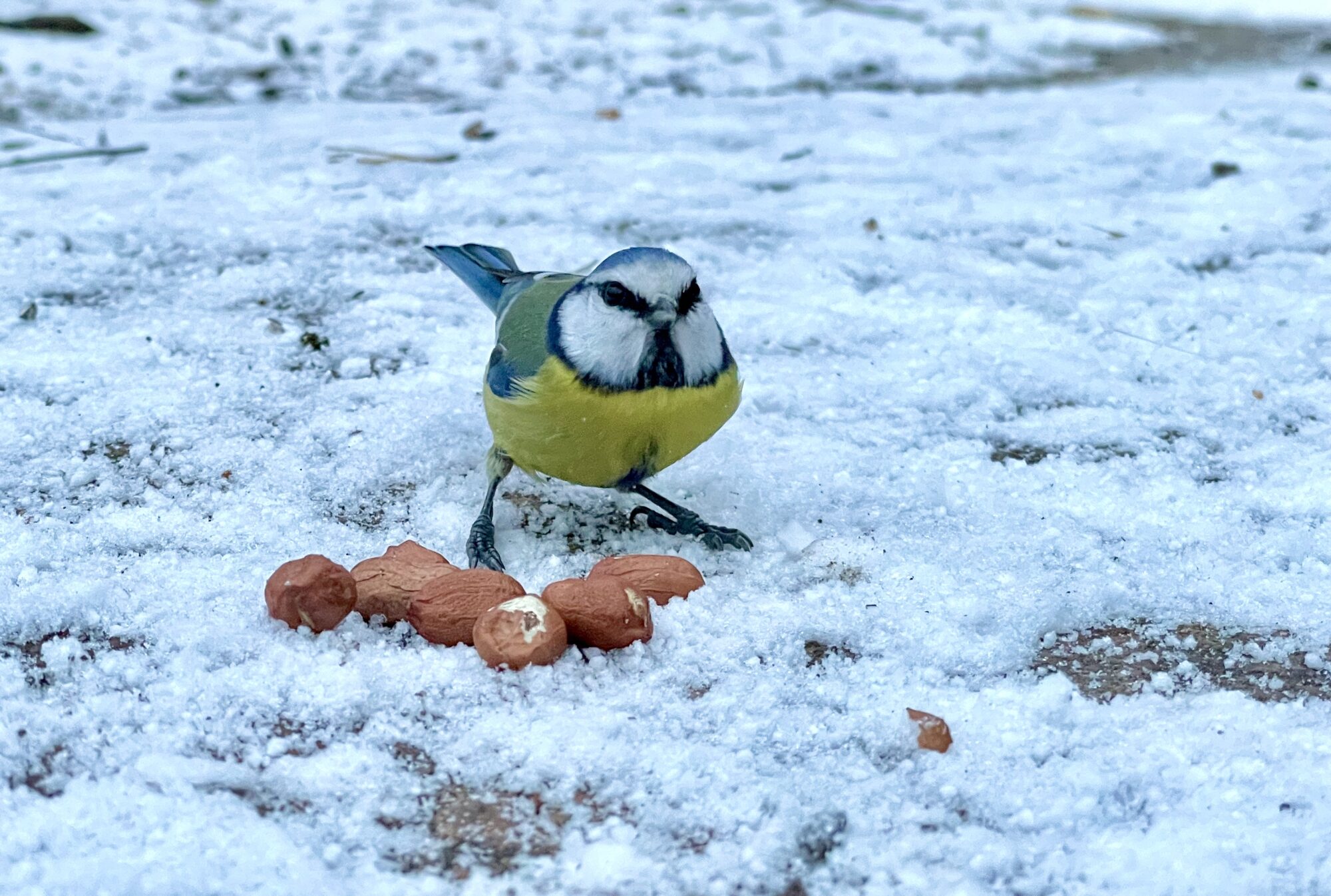 Valokuvaaja: Juhani Peltonen