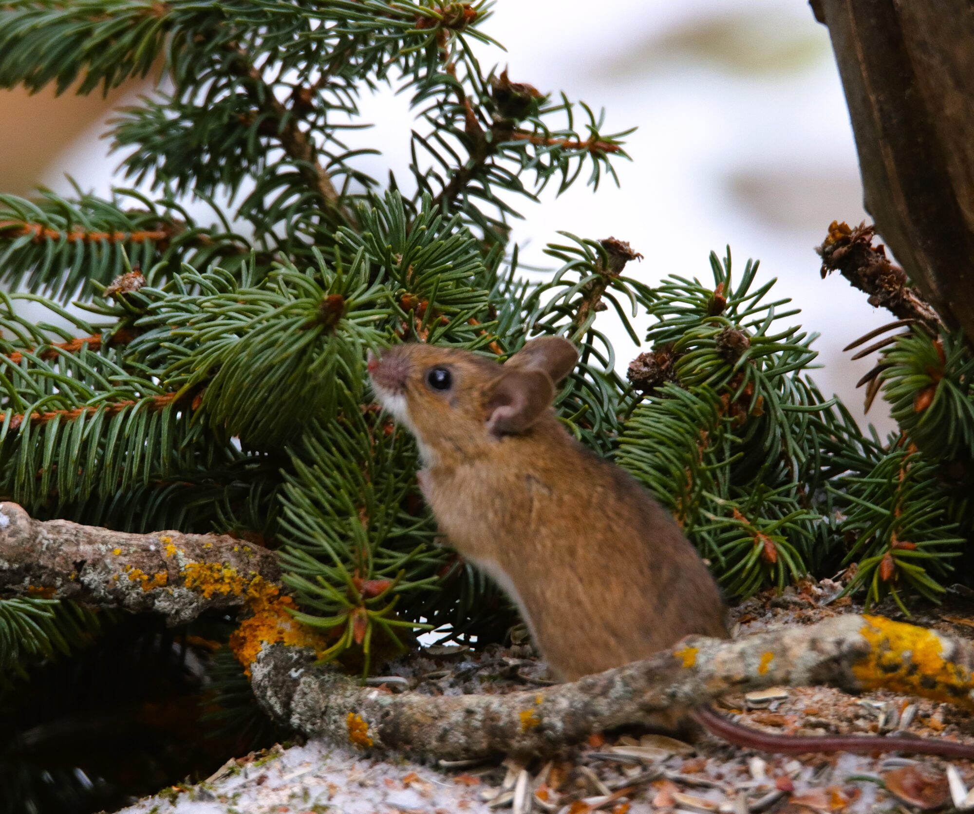 Valokuvaaja: Irja Lehtinen