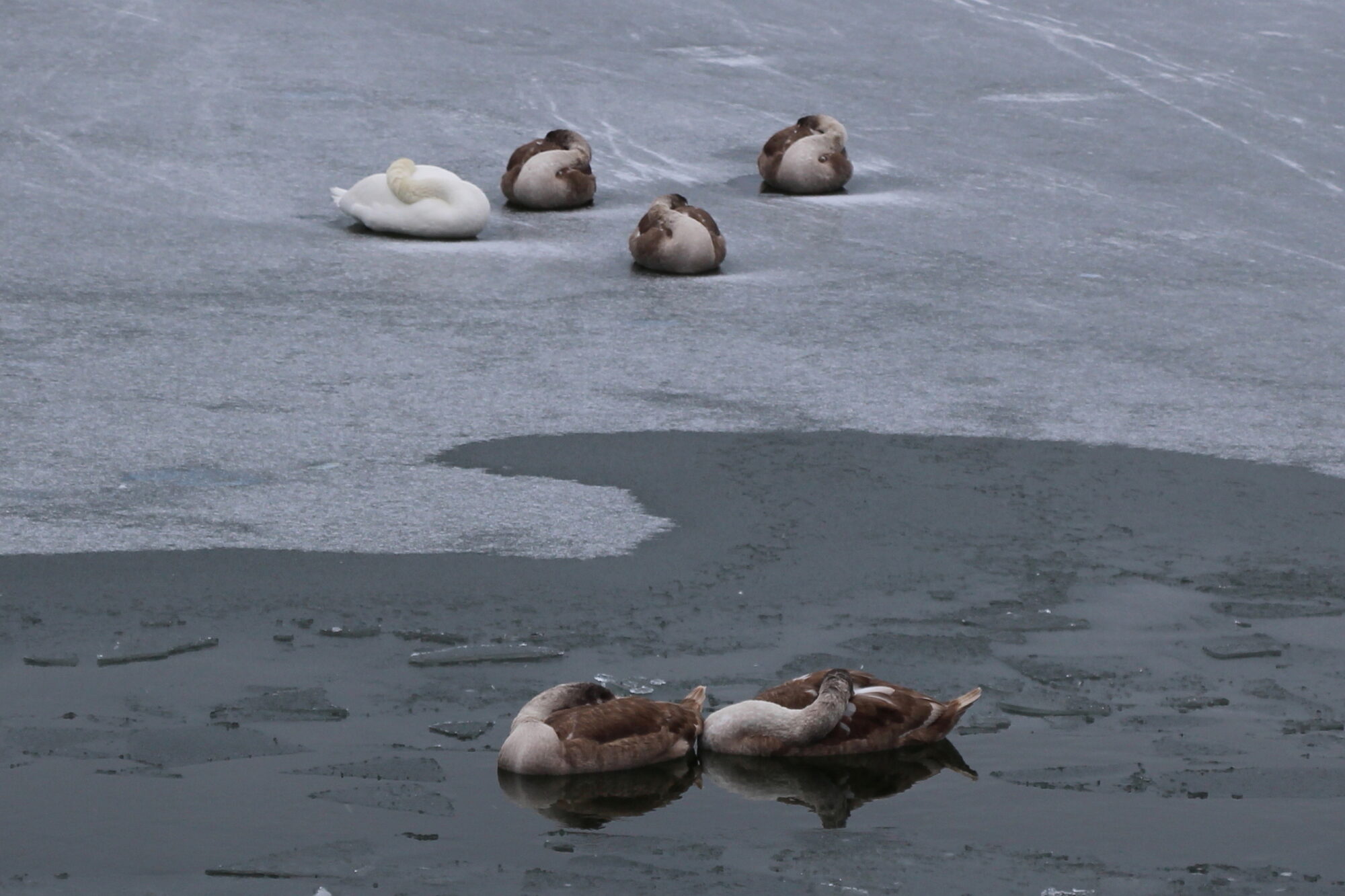 Valokuvaaja: Kirsi-Marja Joenpolvi Valokuvaaja: Kirsi-Marja Joenpolvi