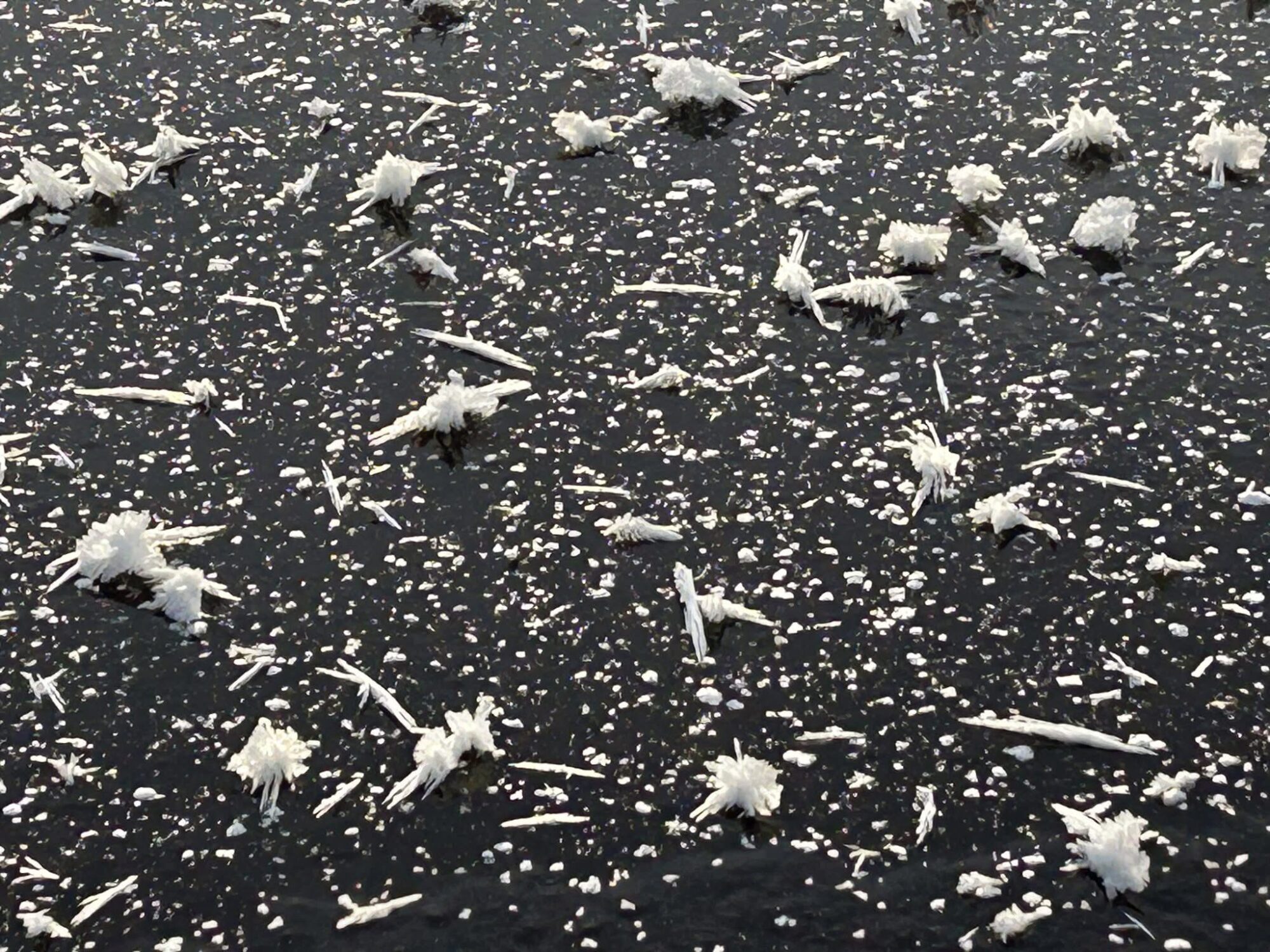 Valokuvaaja: Tapio Keinonen