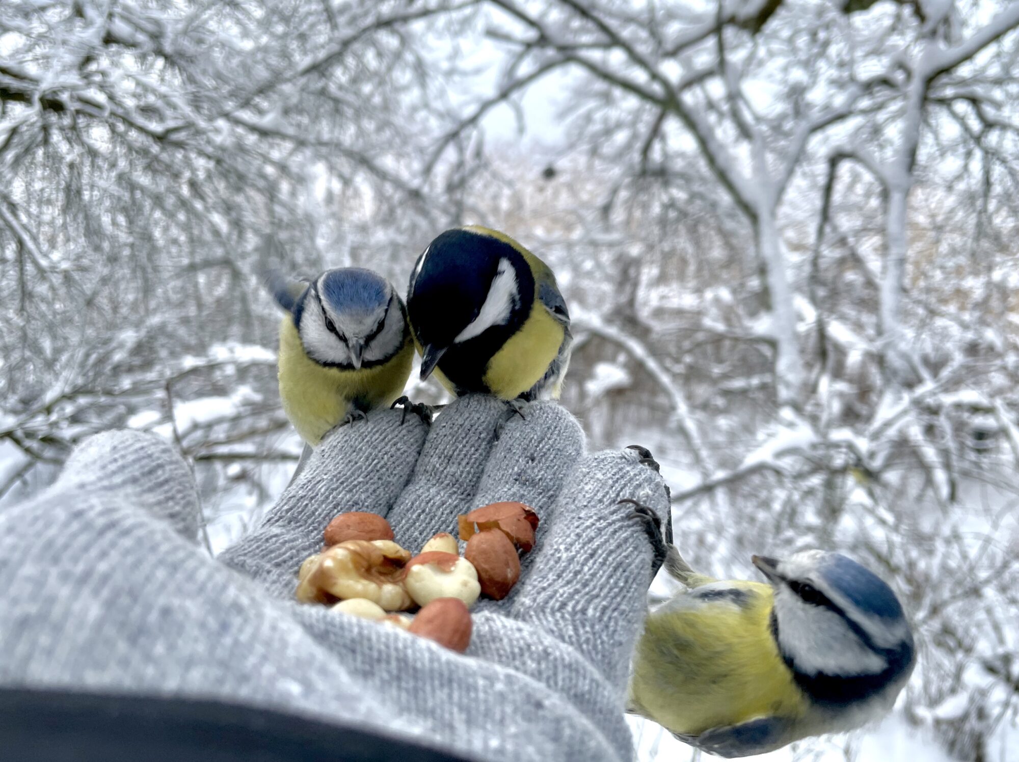 Valokuvaaja: Juhani Peltonen