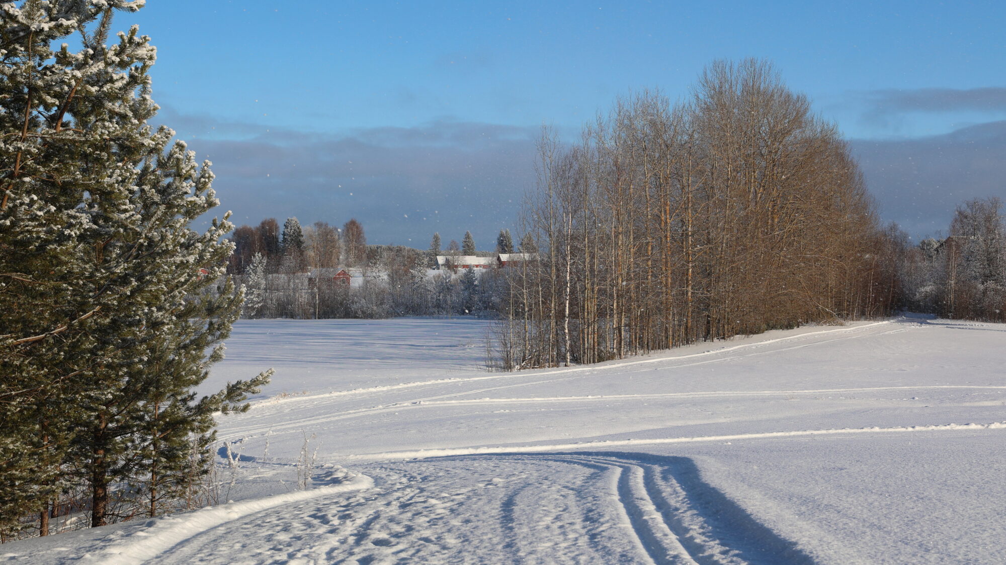 Valokuvaaja: SINIKKA KUJALA
