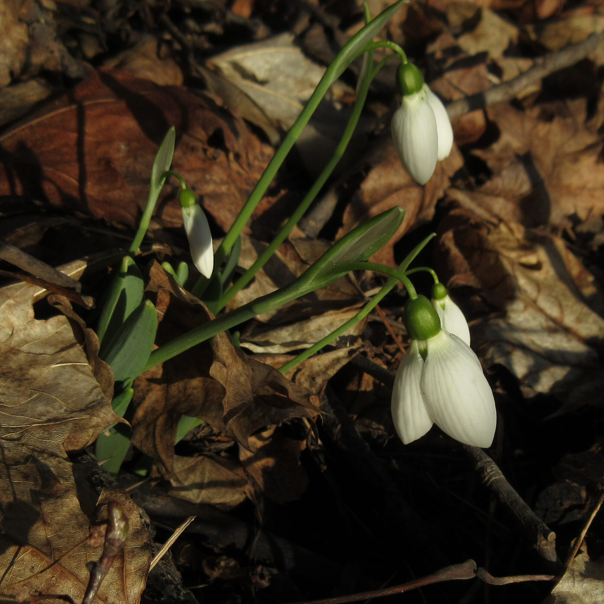 Valokuvaaja: Jouni Uski