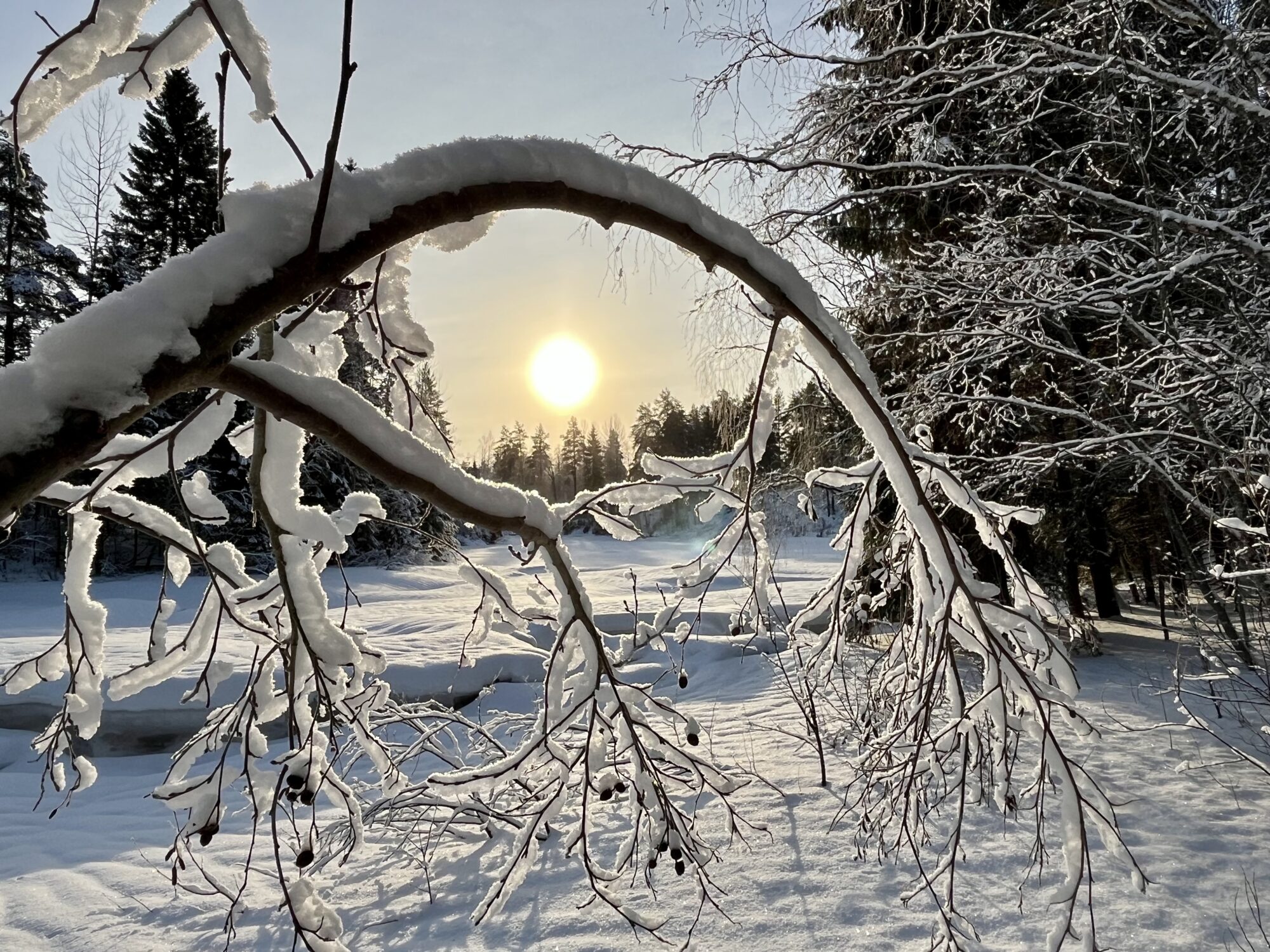 Valokuvaaja: Tuukka Pahtamaa