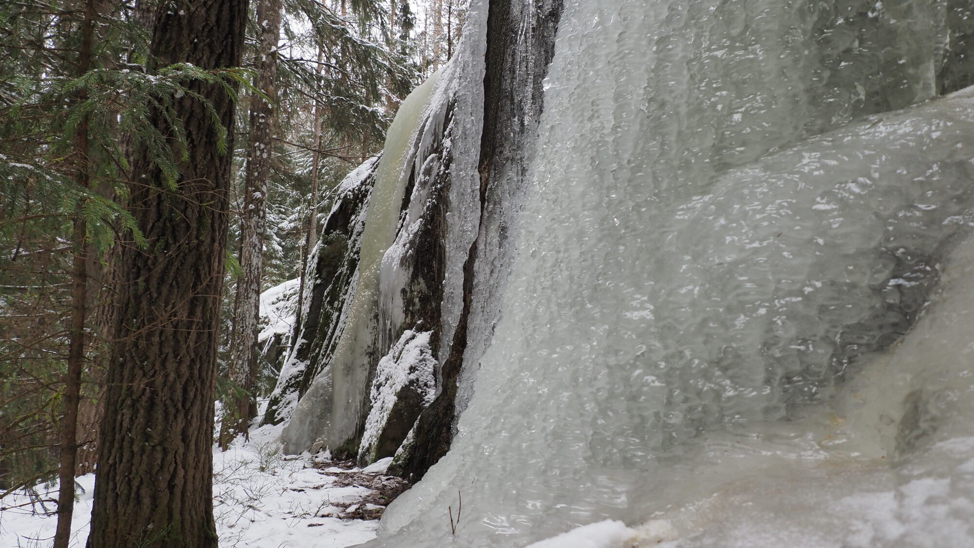 Valokuvaaja: Arja Valtonen Valokuvaaja: Arja Valtonen