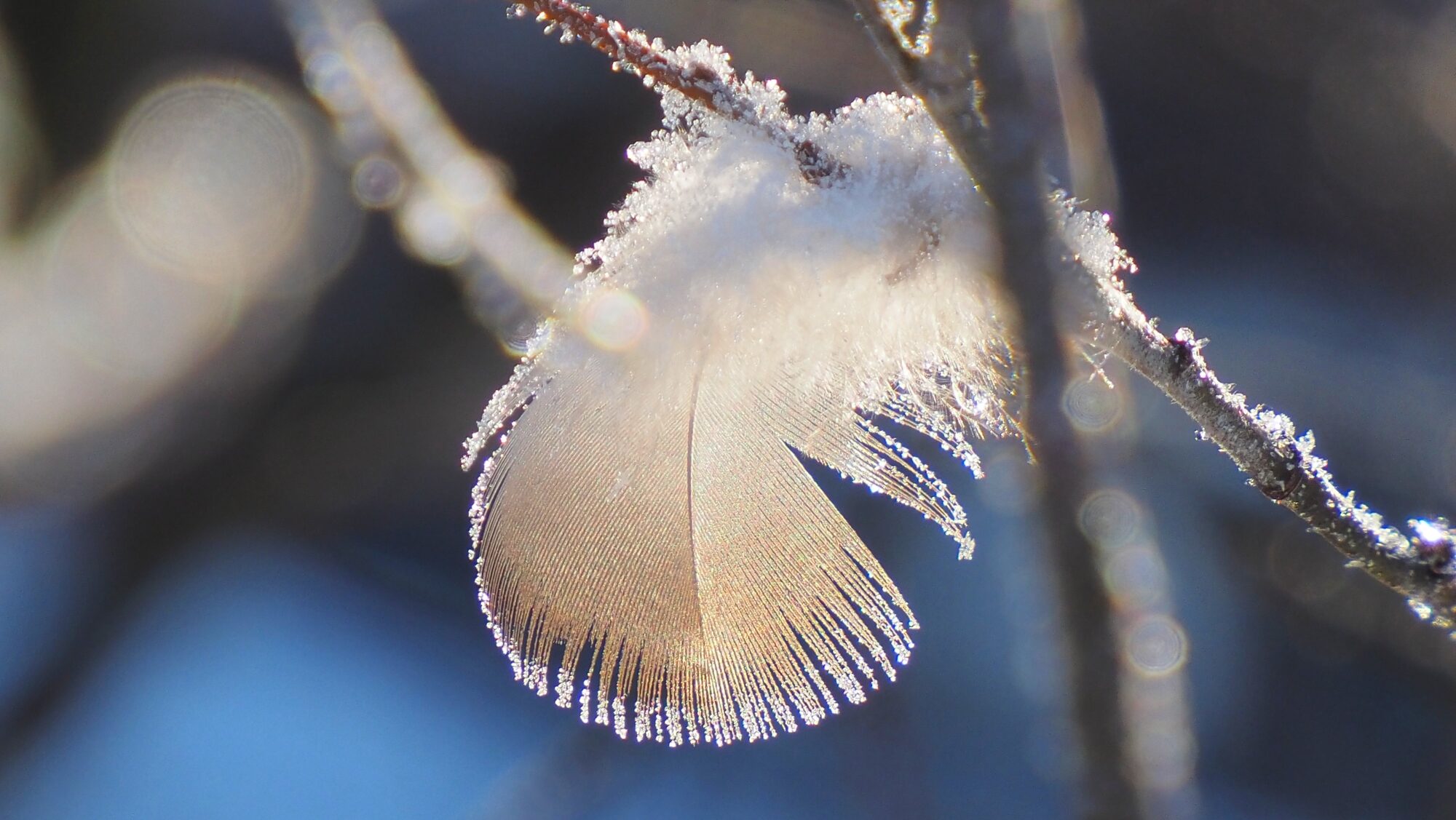 Valokuvaaja: Arja Valtonen