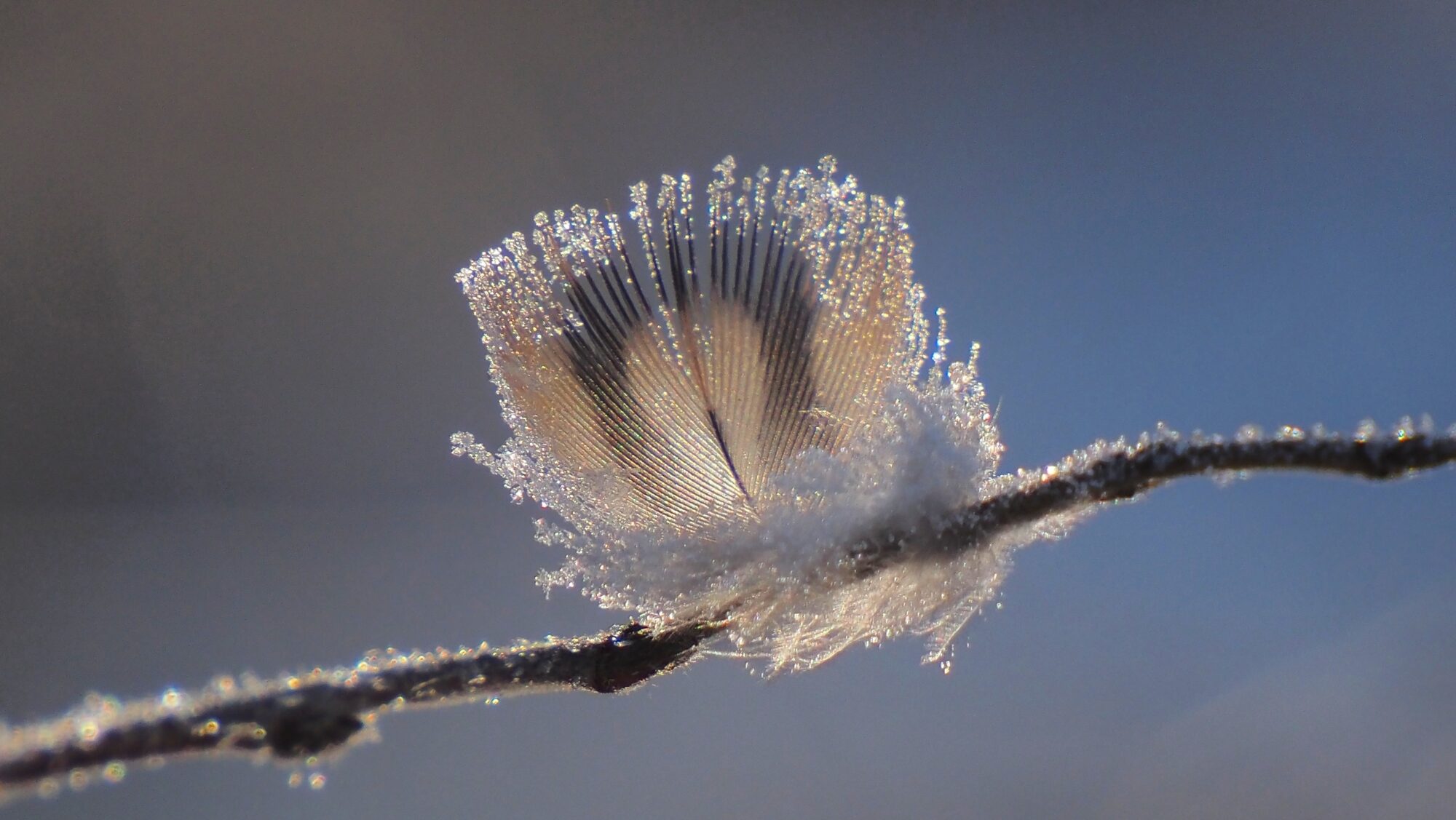 Valokuvaaja: Arja Valtonen