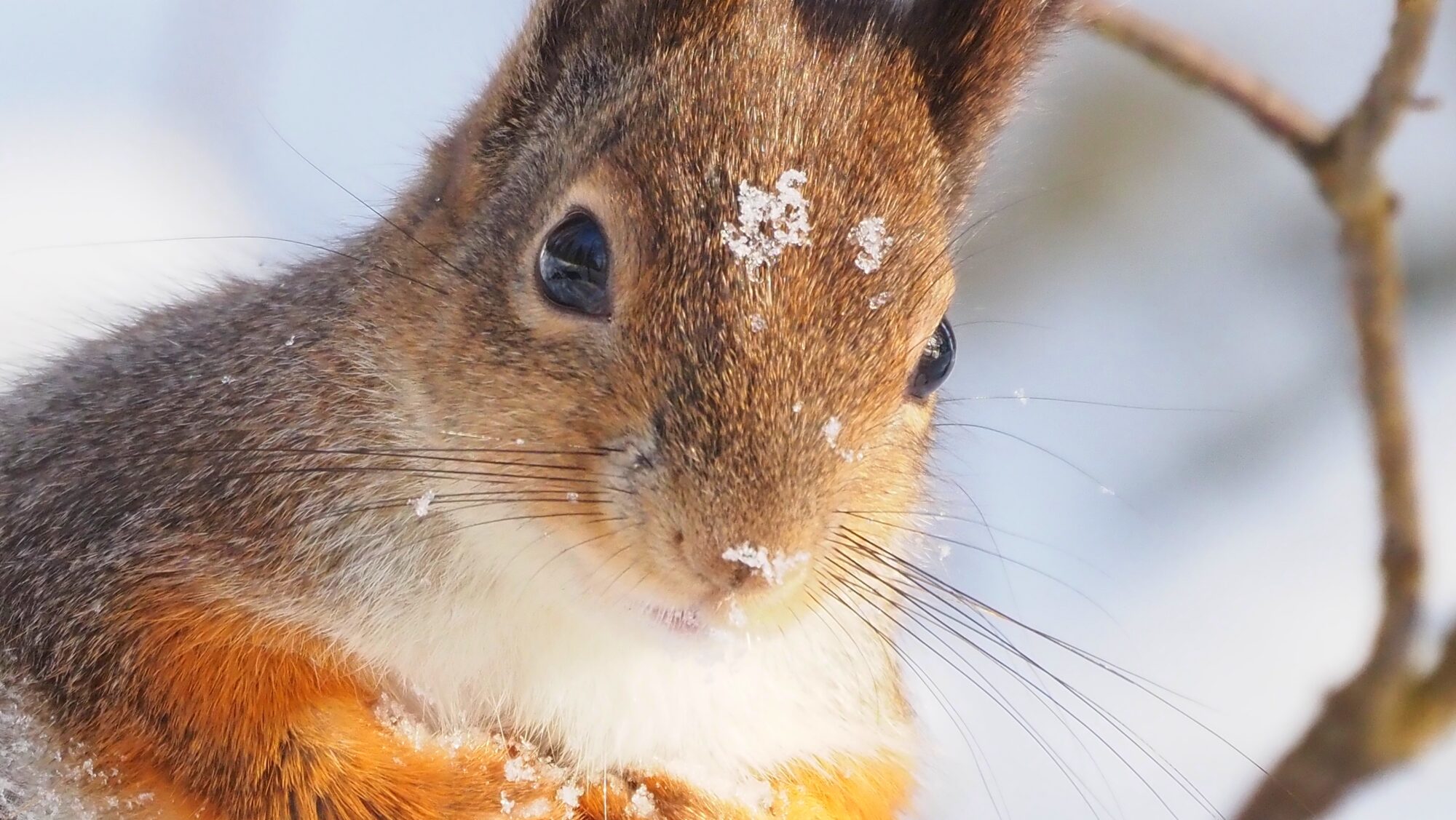 Valokuvaaja: Arja Valtonen