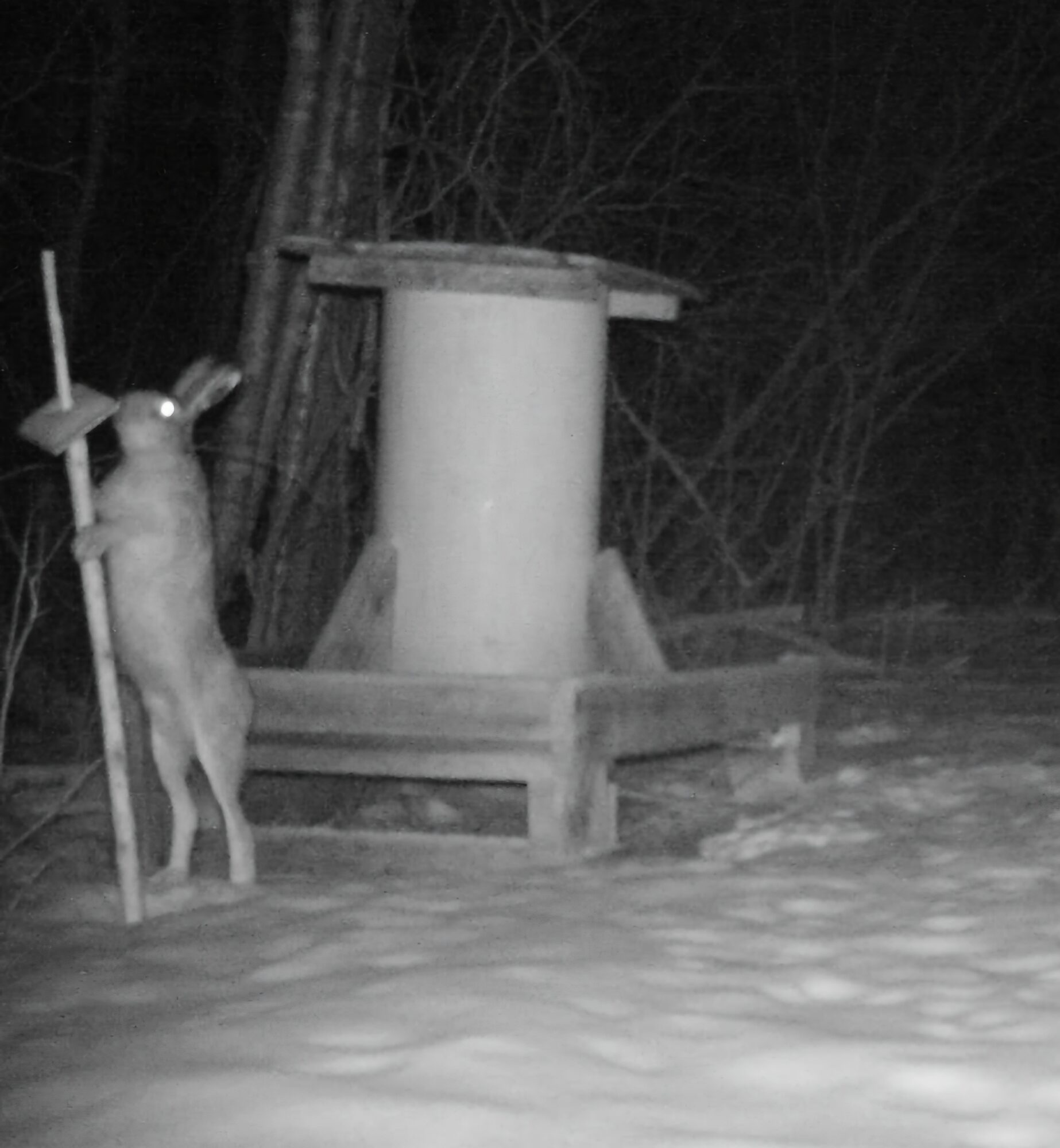 Valokuvaaja: Seppo Kivistö