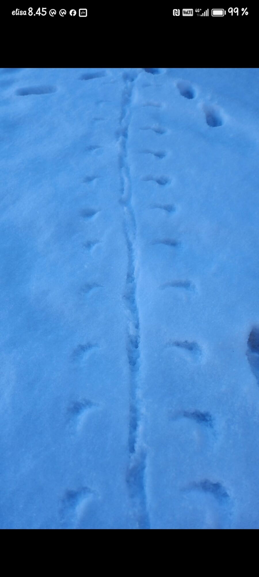 Valokuvaaja: Anne Ahlbäck