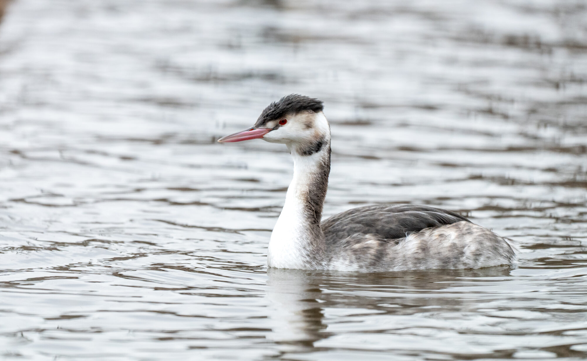 Valokuvaaja: Paul Stevens
