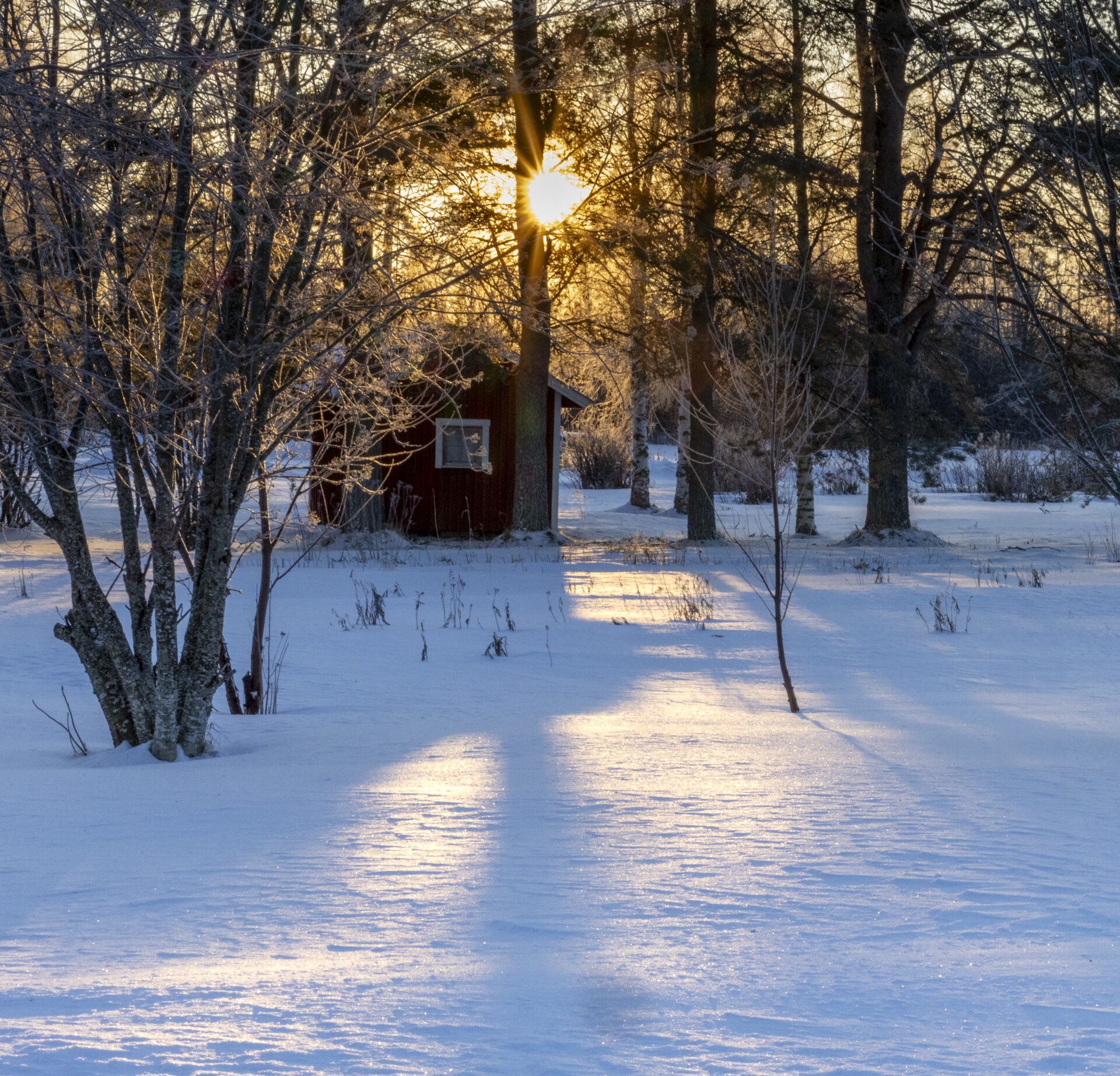 Valokuvaaja: Hannu Tikkanen Valokuvaaja: Hannu Tikkanen