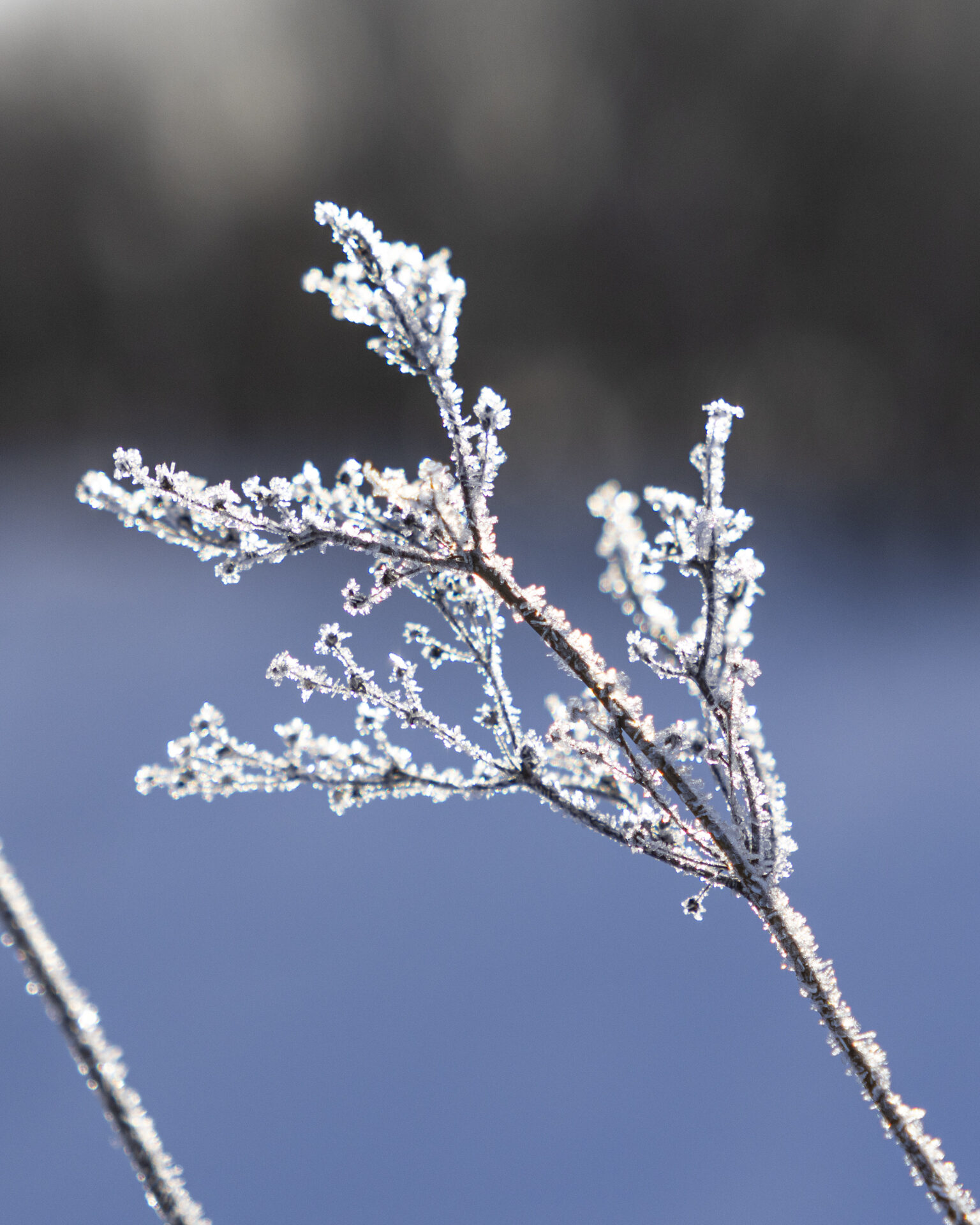 Valokuvaaja: Hannu Tikkanen