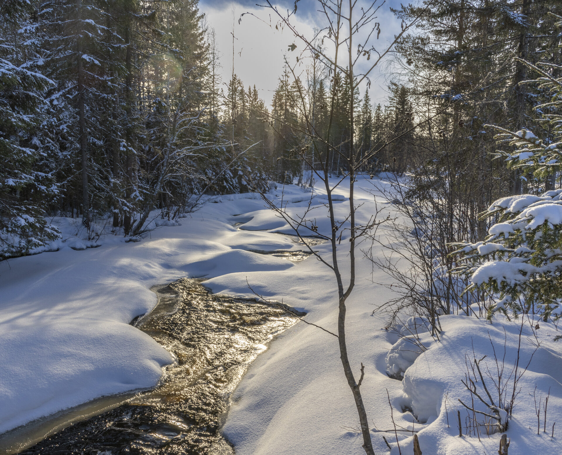 Valokuvaaja: Hannu Tikkanen