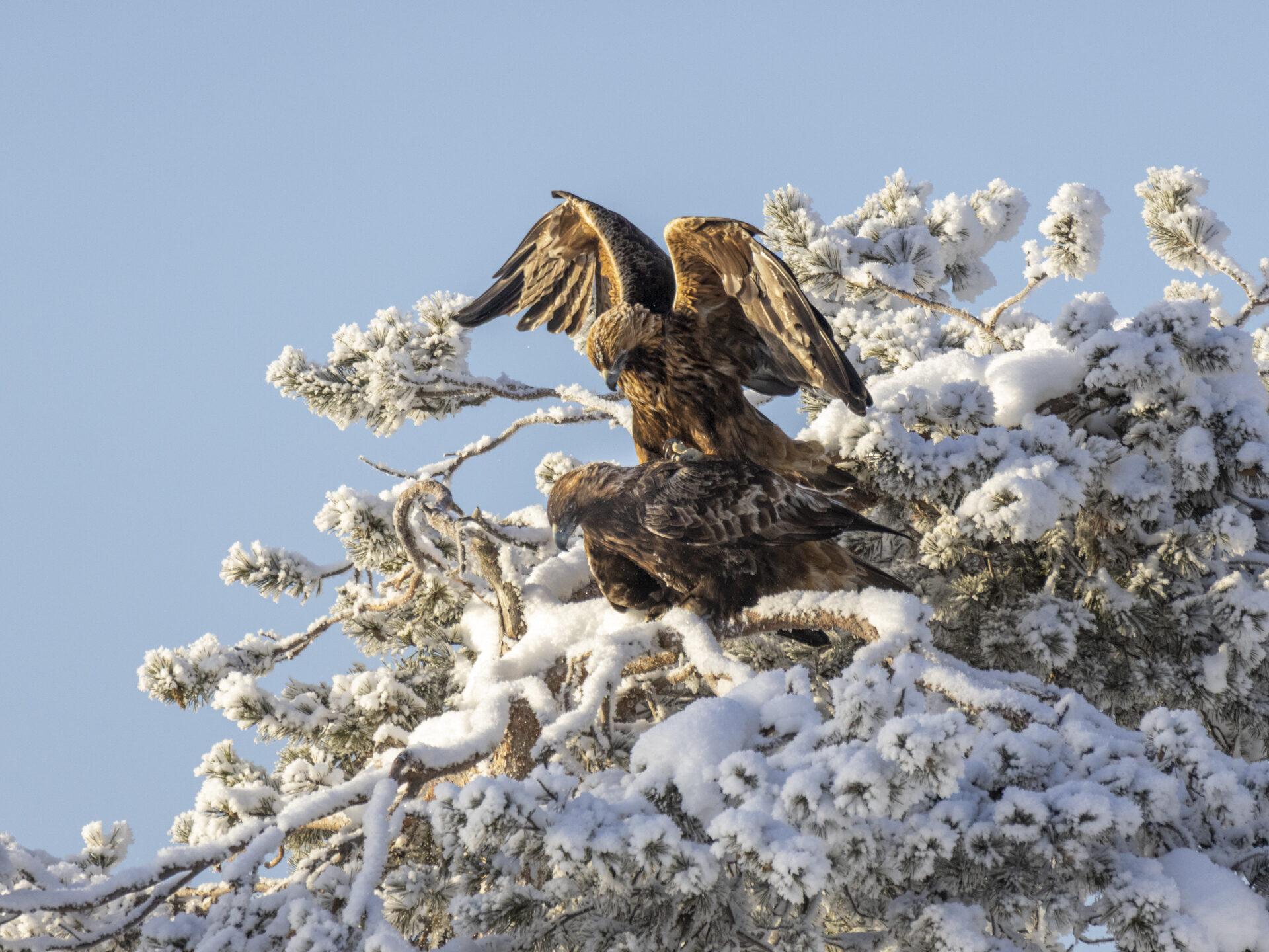 Valokuvaaja: Hannu Tikkanen