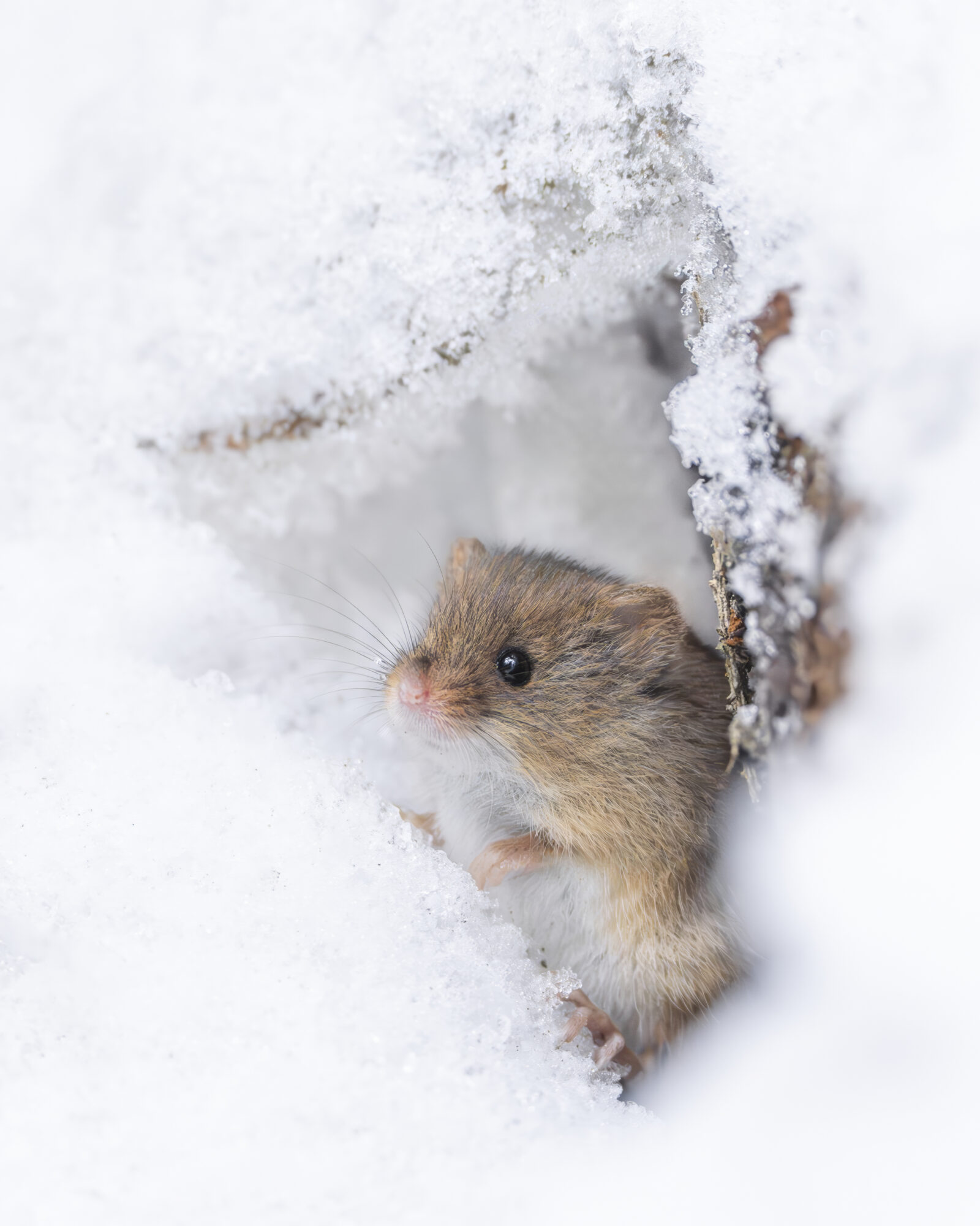 Valokuvaaja: Toni Pälli