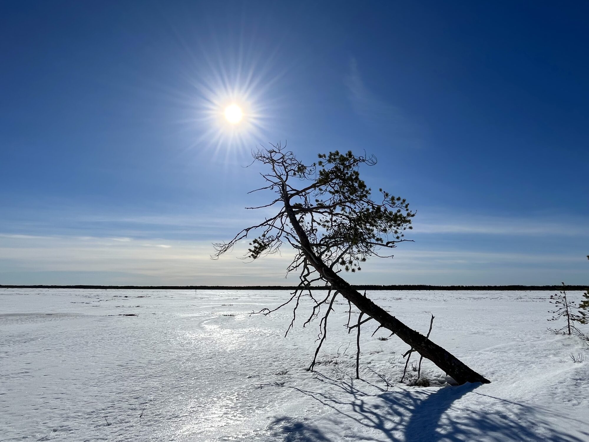 Valokuvaaja: Tuukka Pahtamaa Valokuvaaja: Tuukka Pahtamaa