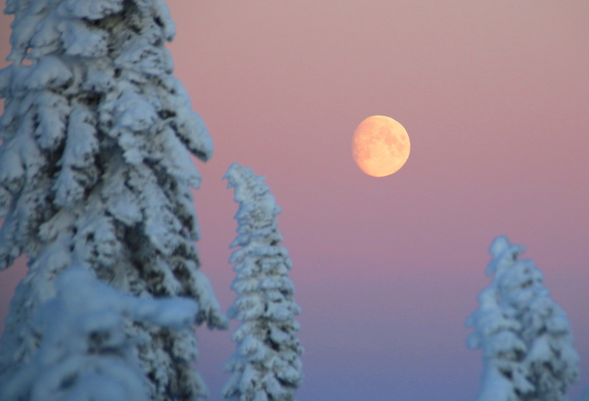 Valokuvaaja: Tuukka Pahtamaa
