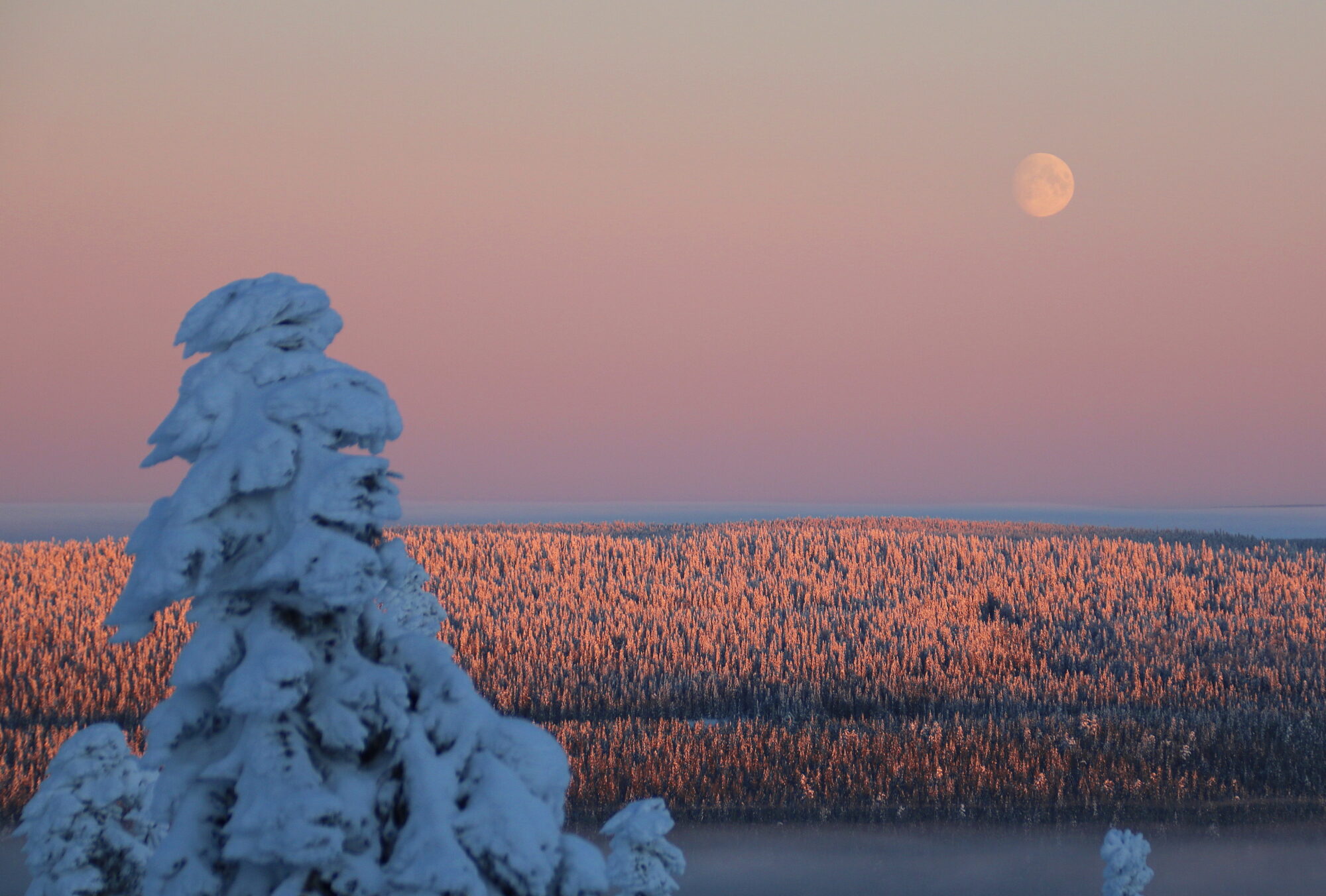 Valokuvaaja: Tuukka Pahtamaa