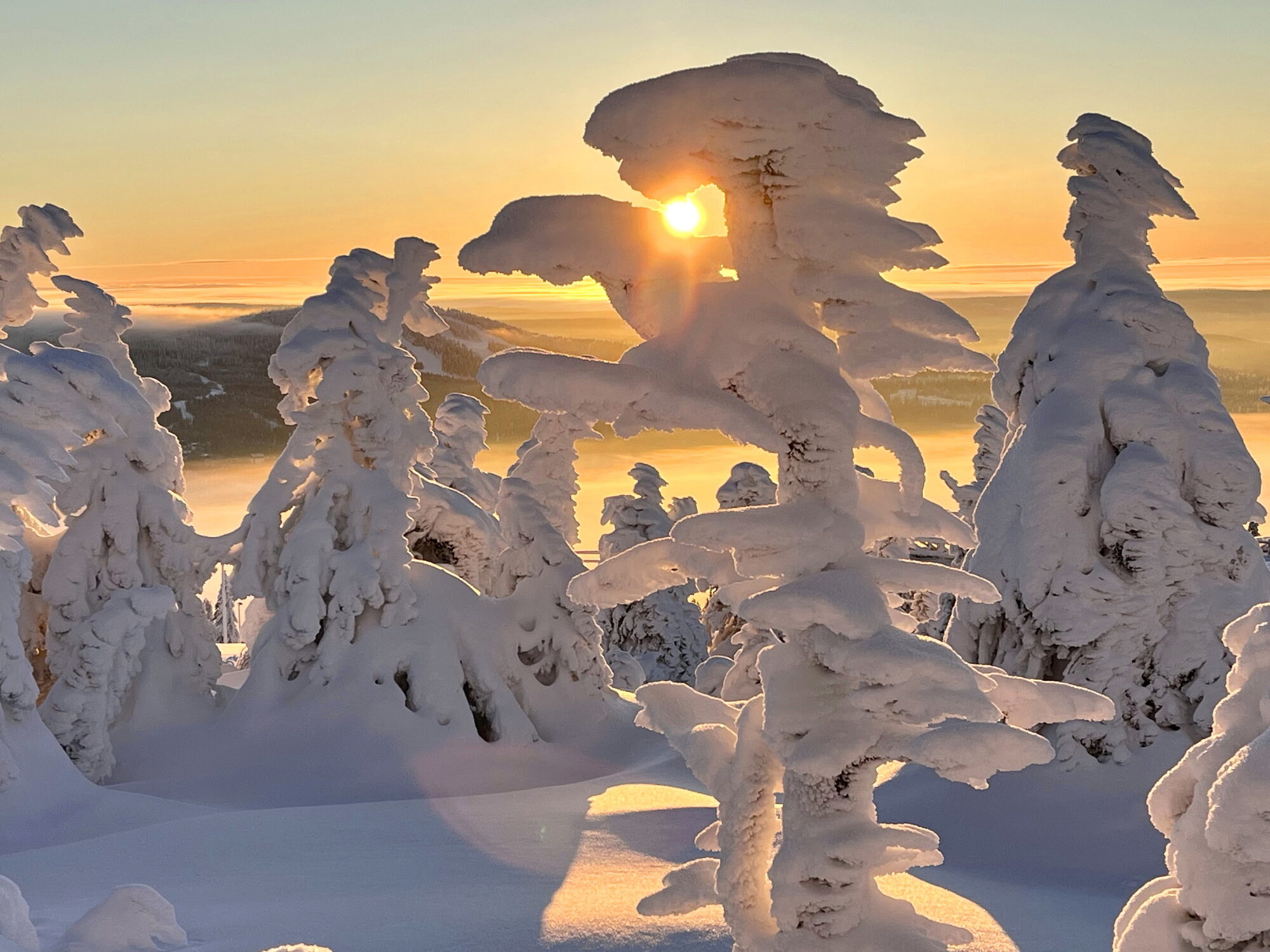 Valokuvaaja: Tuukka Pahtamaa