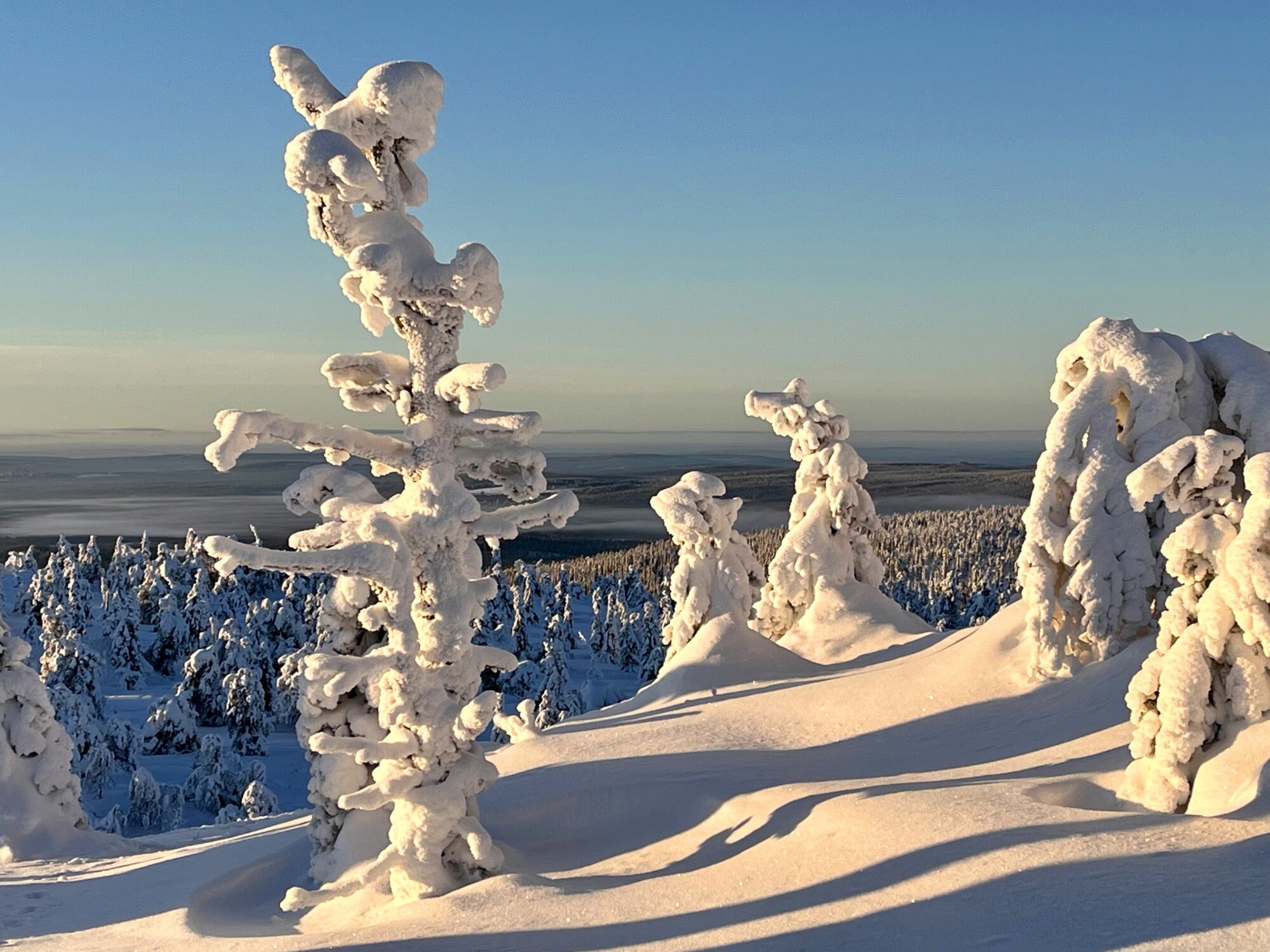 Valokuvaaja: Tuukka Pahtamaa