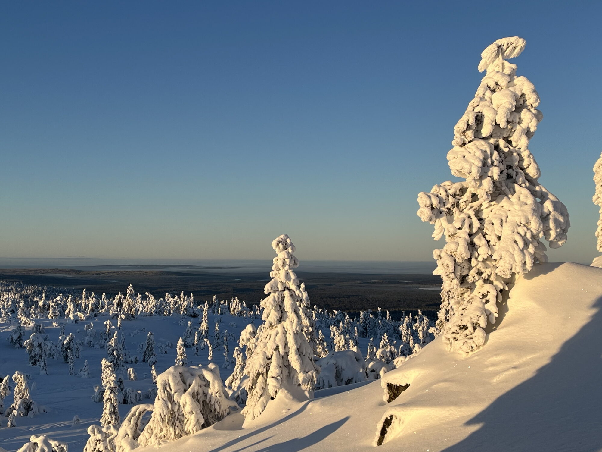 Valokuvaaja: Tuukka Pahtamaa Valokuvaaja: Tuukka Pahtamaa