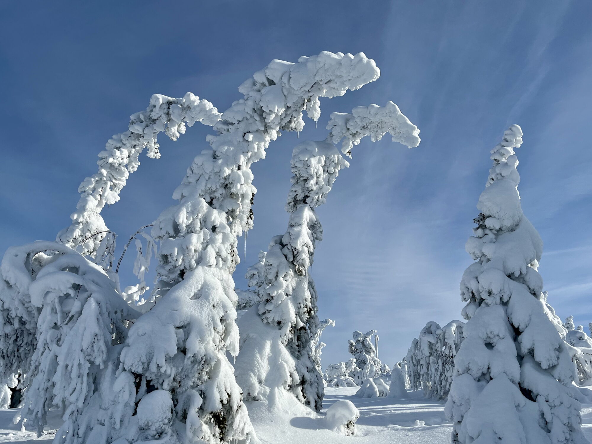 Valokuvaaja: Tuukka Pahtamaa Valokuvaaja: Tuukka Pahtamaa