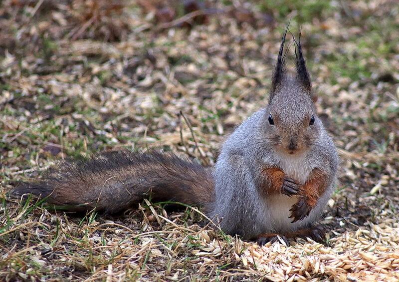 Valokuvaaja: Hannu Rasiranta Valokuvaaja: Hannu Rasiranta
