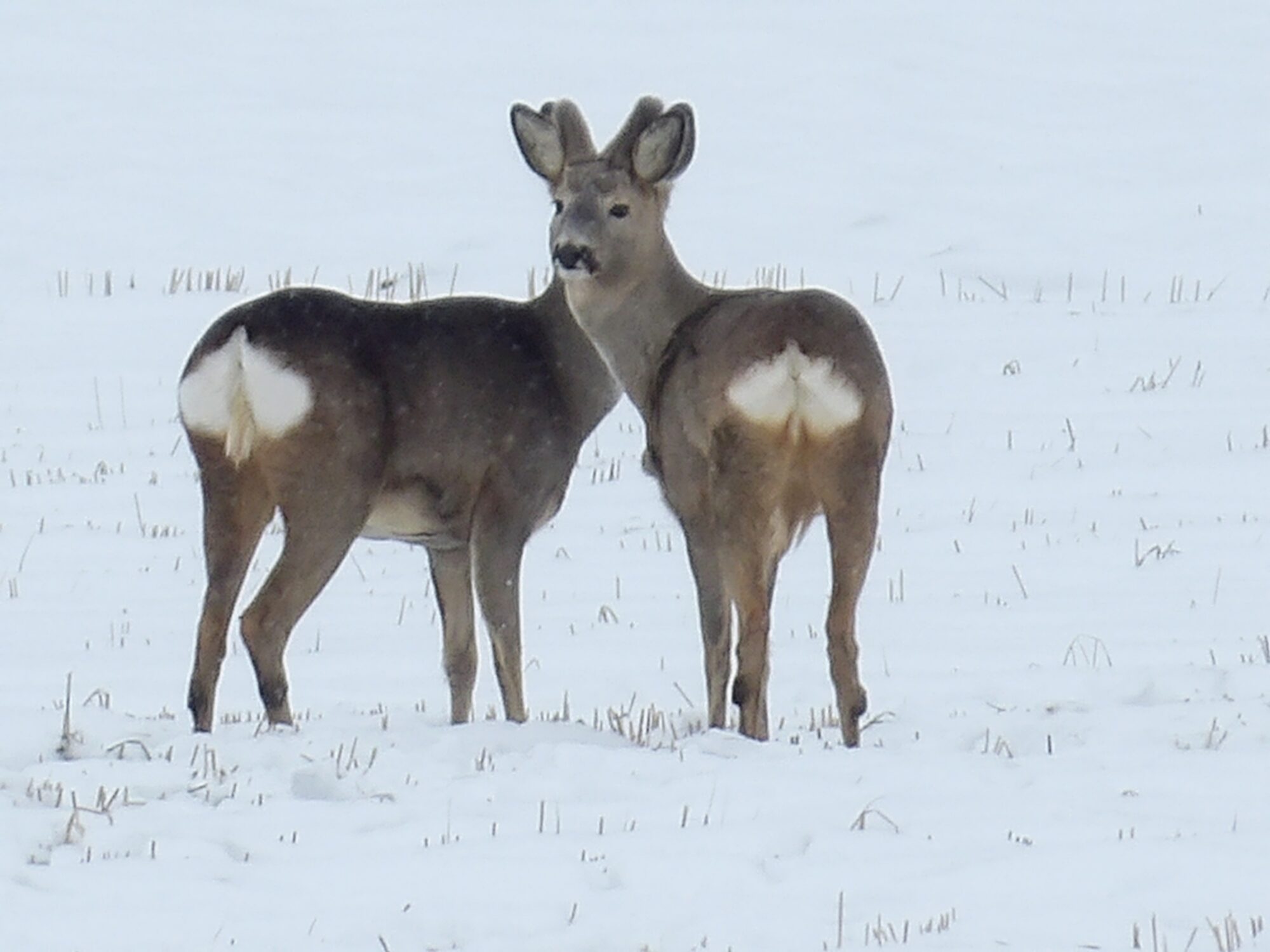 Valokuvaaja: Salla Kumpulainen Valokuvaaja: Salla Kumpulainen