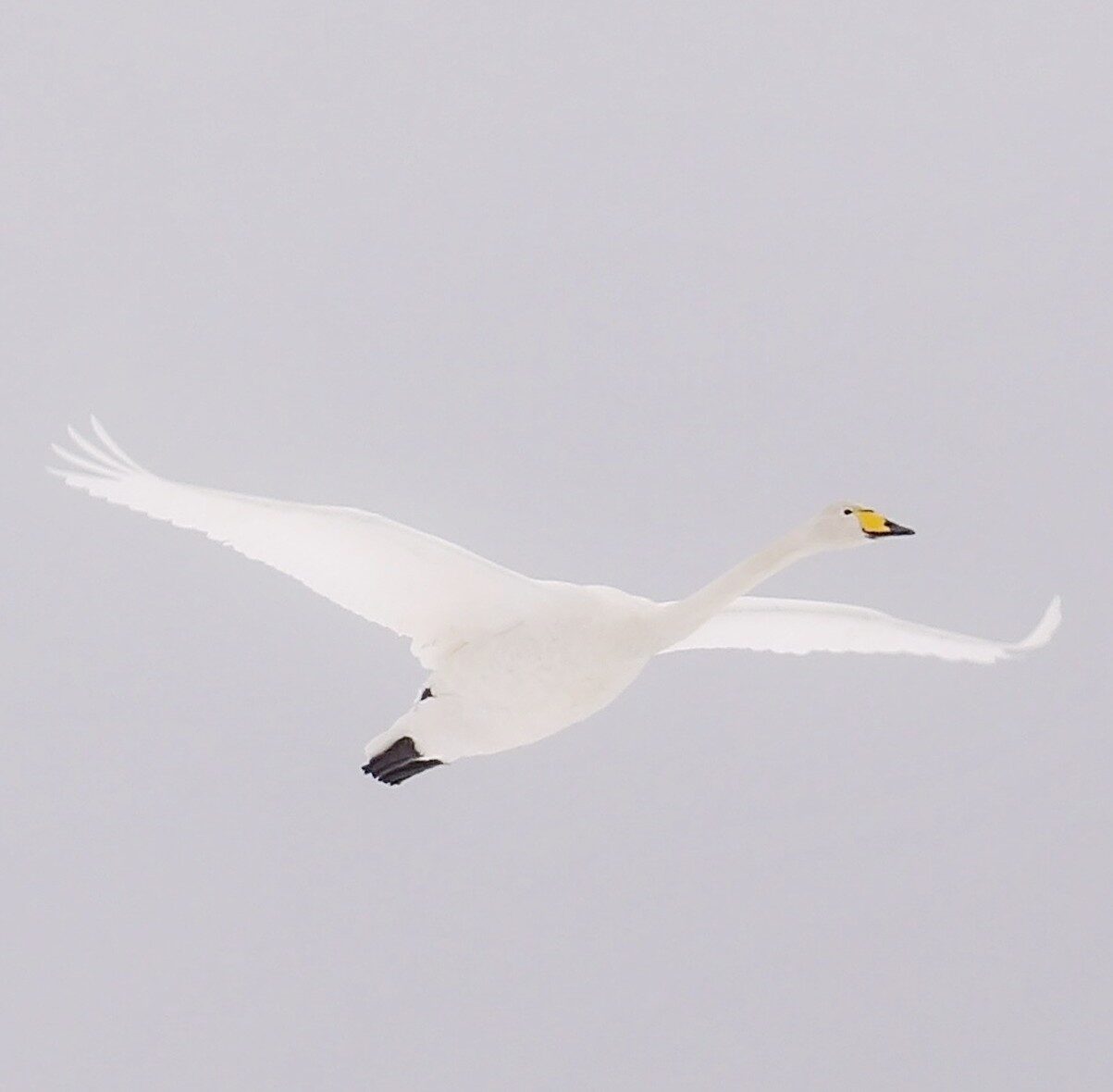 Valokuvaaja: Salla Kumpulainen Valokuvaaja: Salla Kumpulainen