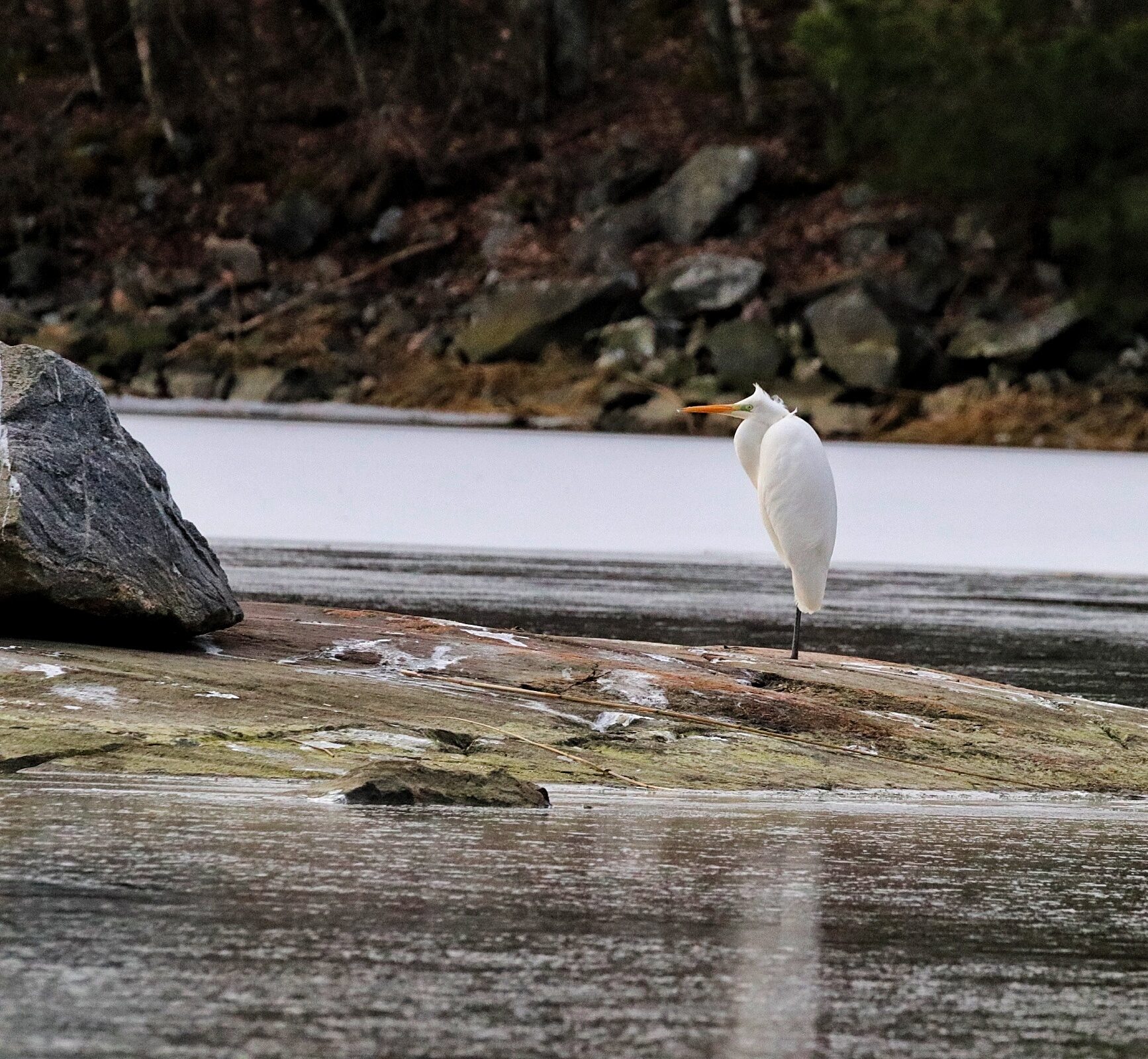 Valokuvaaja: Tuomas Salminen