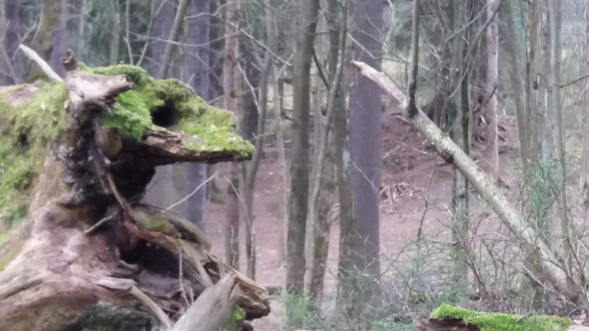 Valokuvaaja: Jukka Veijola