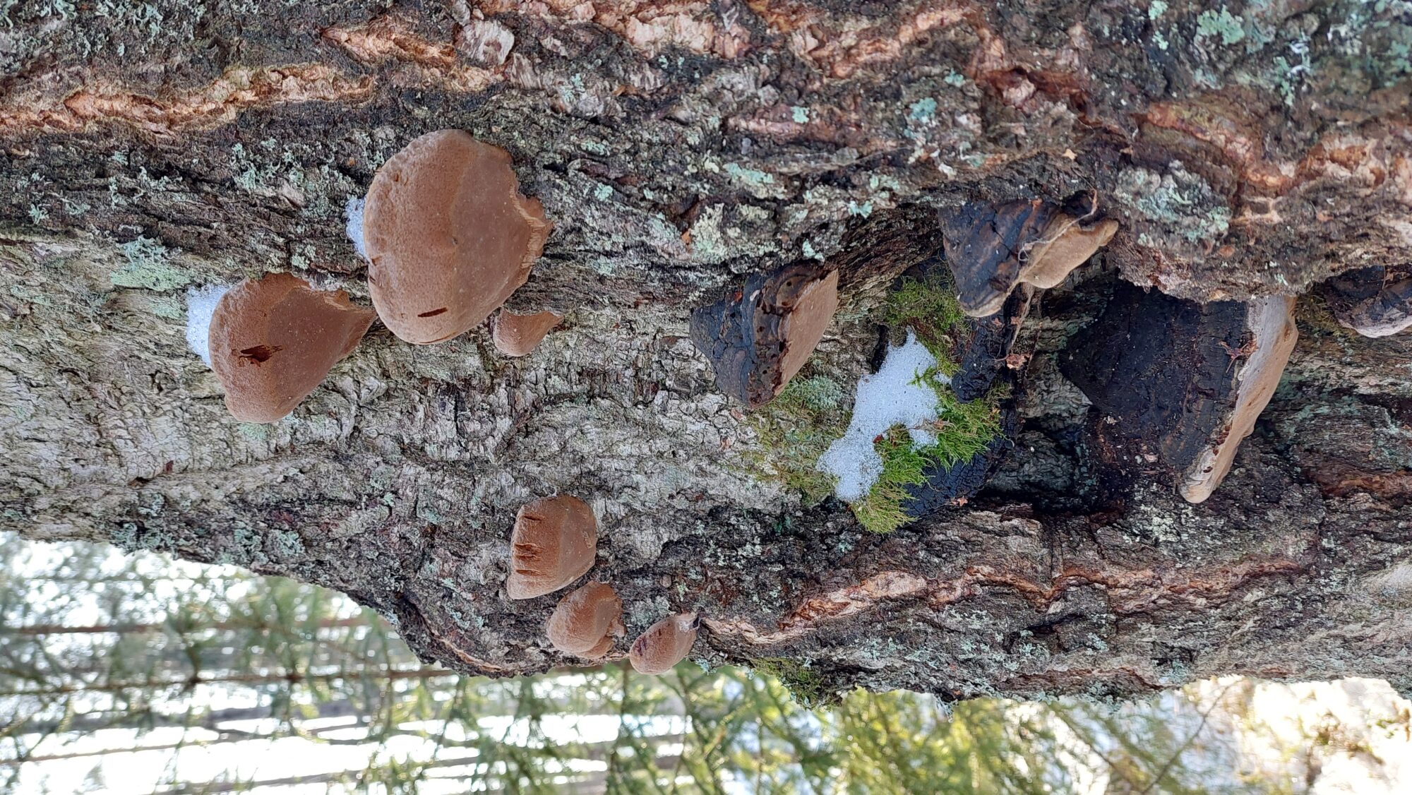 Valokuvaaja: Tarja Naukkarinen