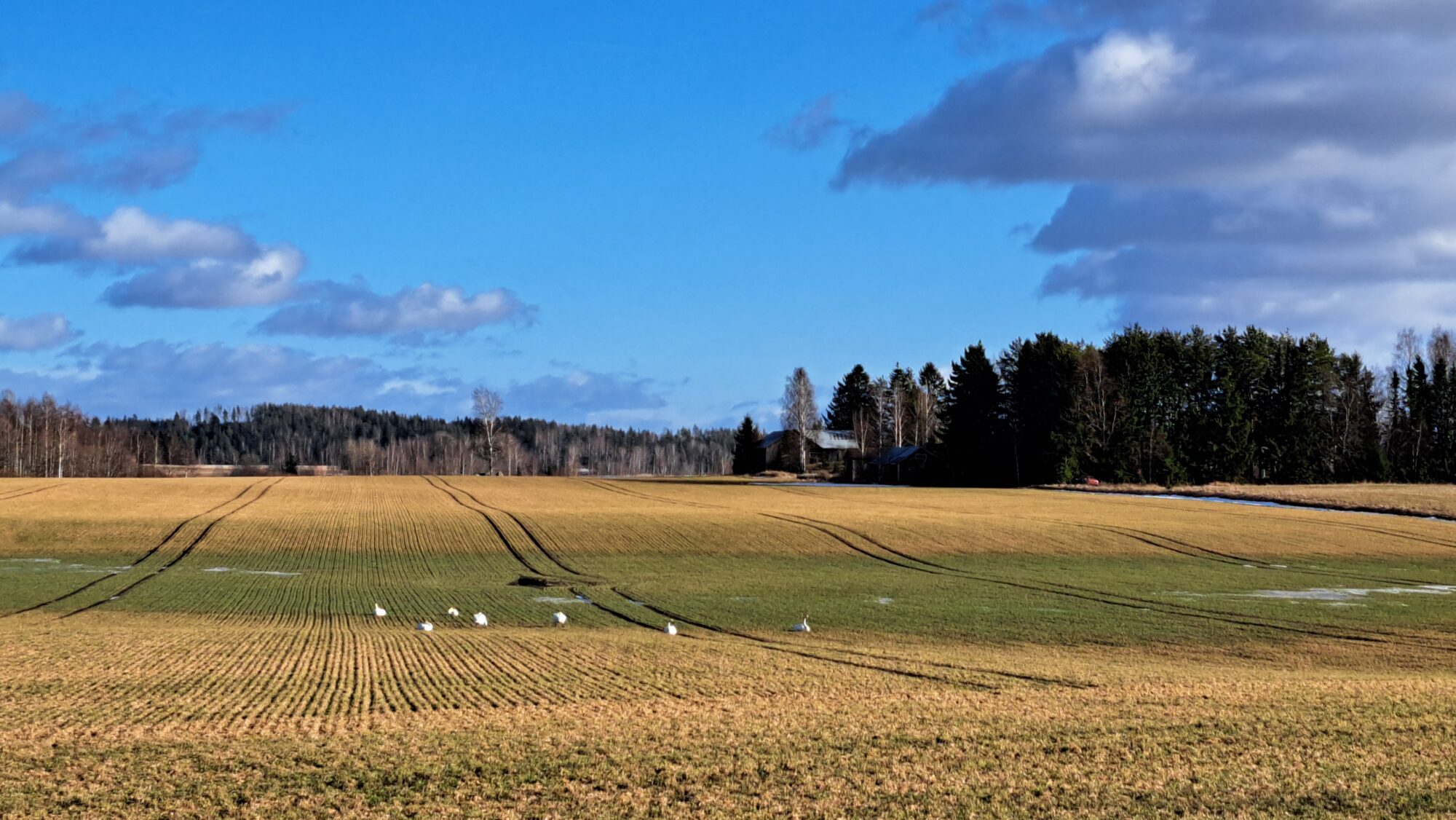 Valokuvaaja: Irja Lehtinen