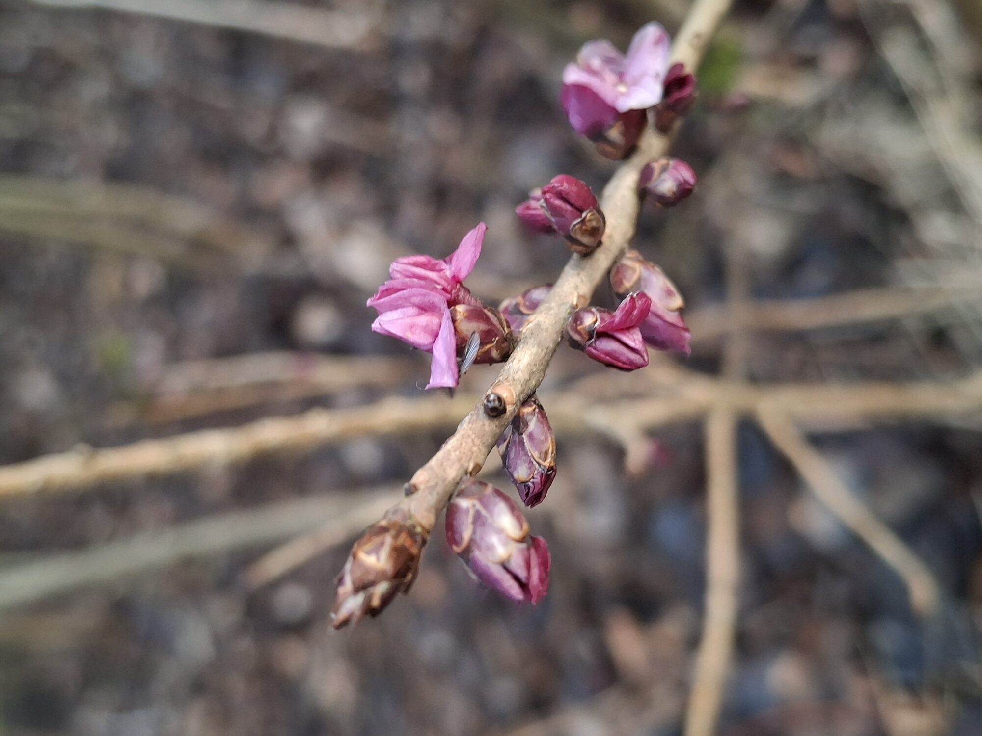 Valokuvaaja: Satu Suuntala